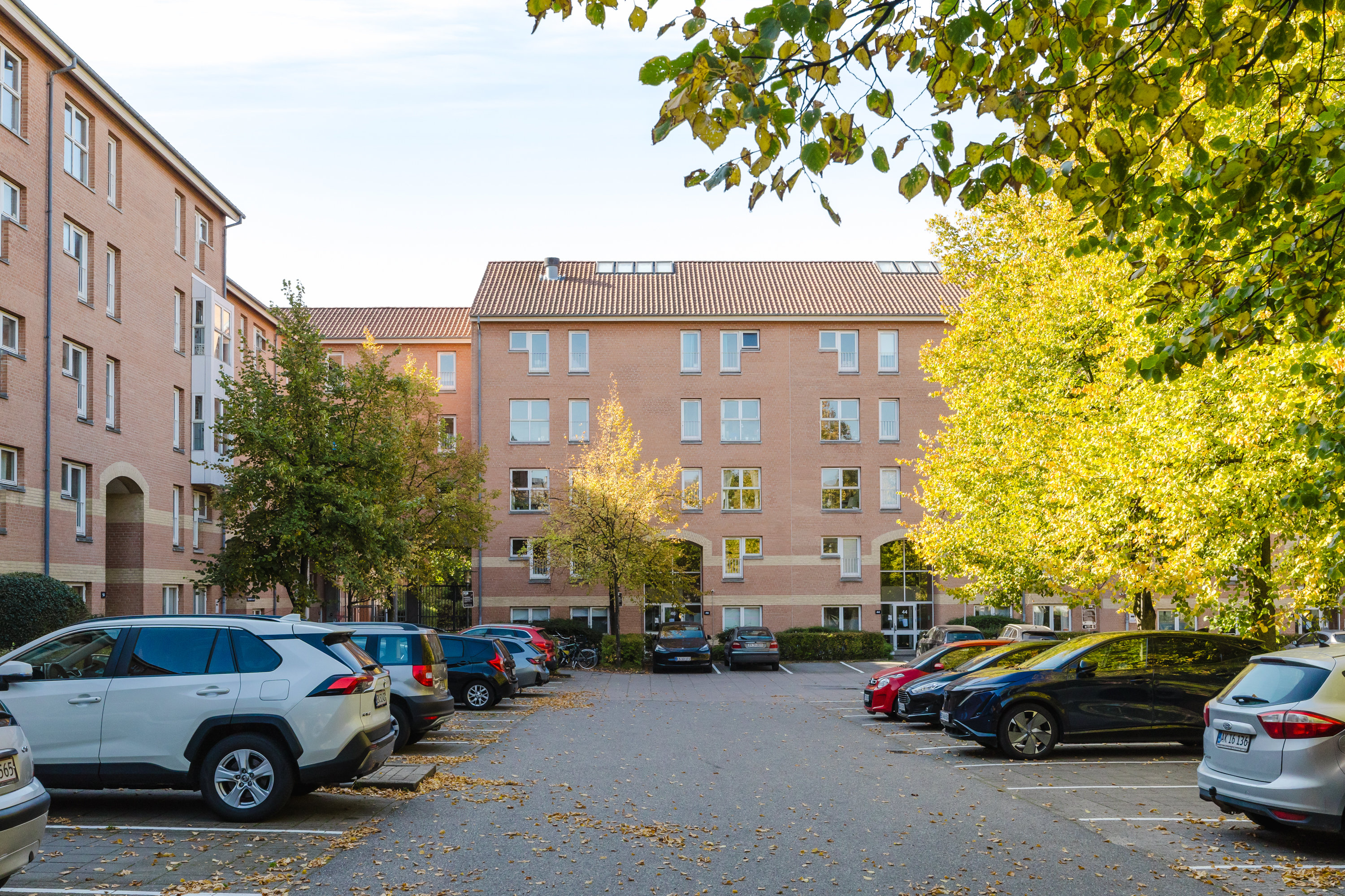 Fremhævet andet billede i fuldskærmstilstand. Billede af Sigynsgade 52, st. th., 2200 København N