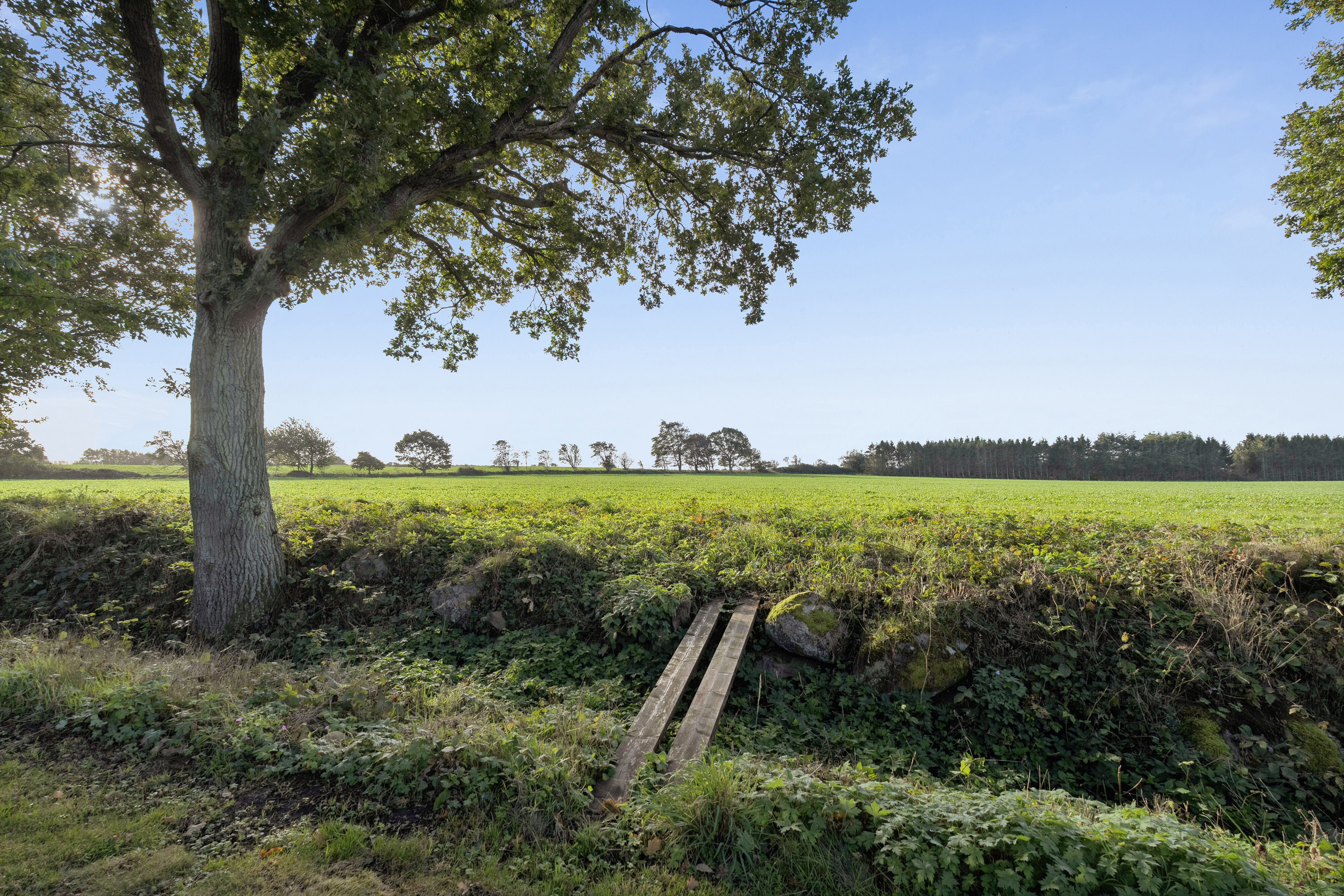 Fremhævet set fra haven billede i fuldskærmstilstand. Billede af Merkurvej 30, 3100 Hornbæk