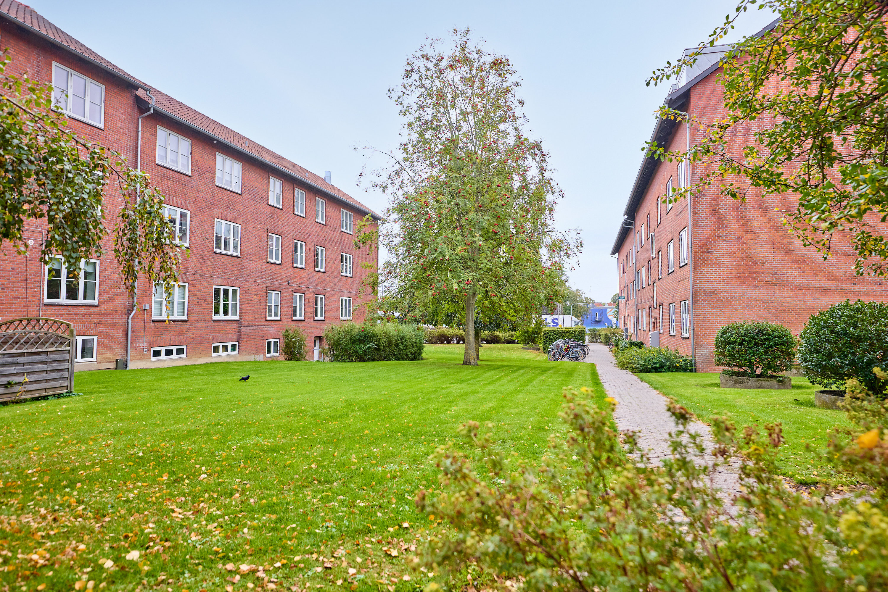 Fremhævet  billede i fuldskærmstilstand. Billede af Tøndergade 87, st. tv., 8000 Aarhus C