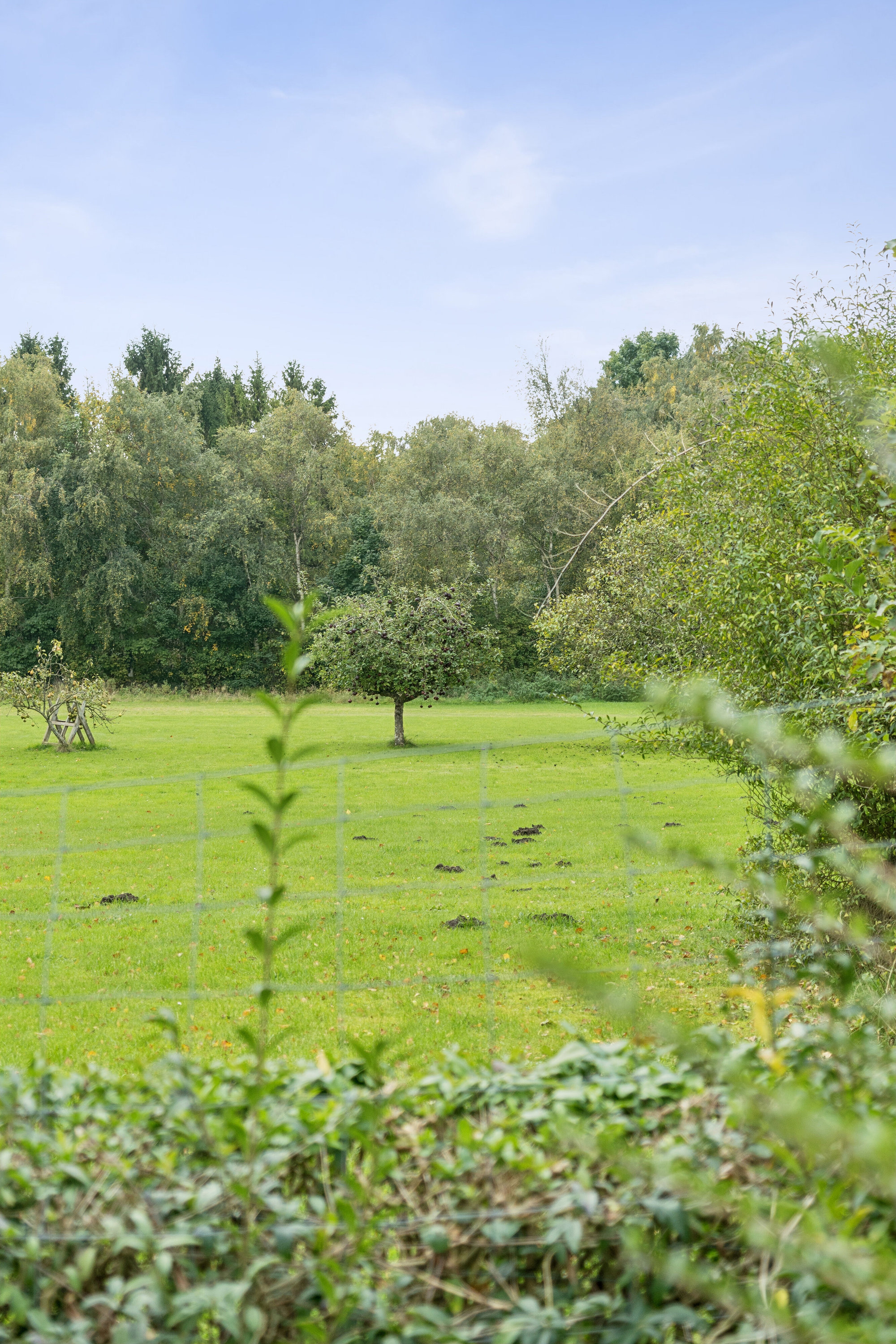 Fremhævet have billede i fuldskærmstilstand. Billede af Fyrendalvej 7, Tornemark, 4262 Sandved