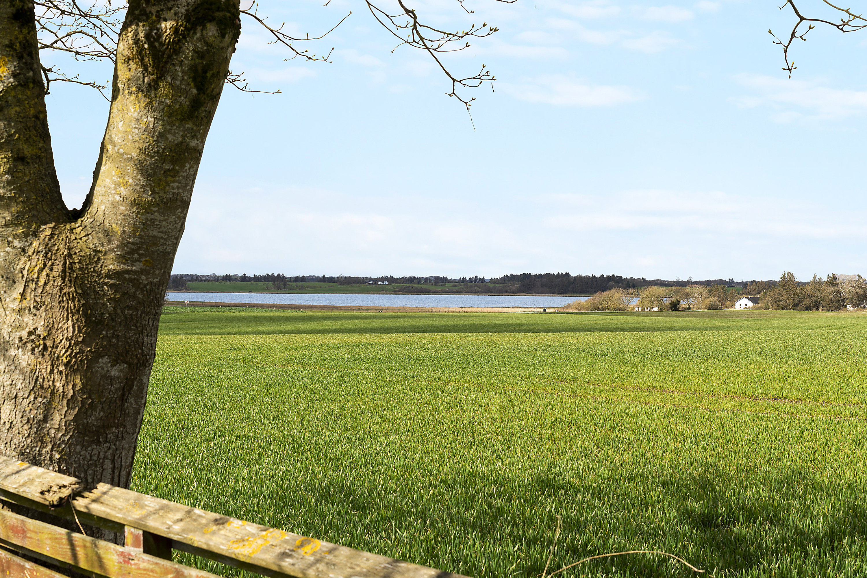 Vangvej 20, Vester Jølby, 7950 Erslev