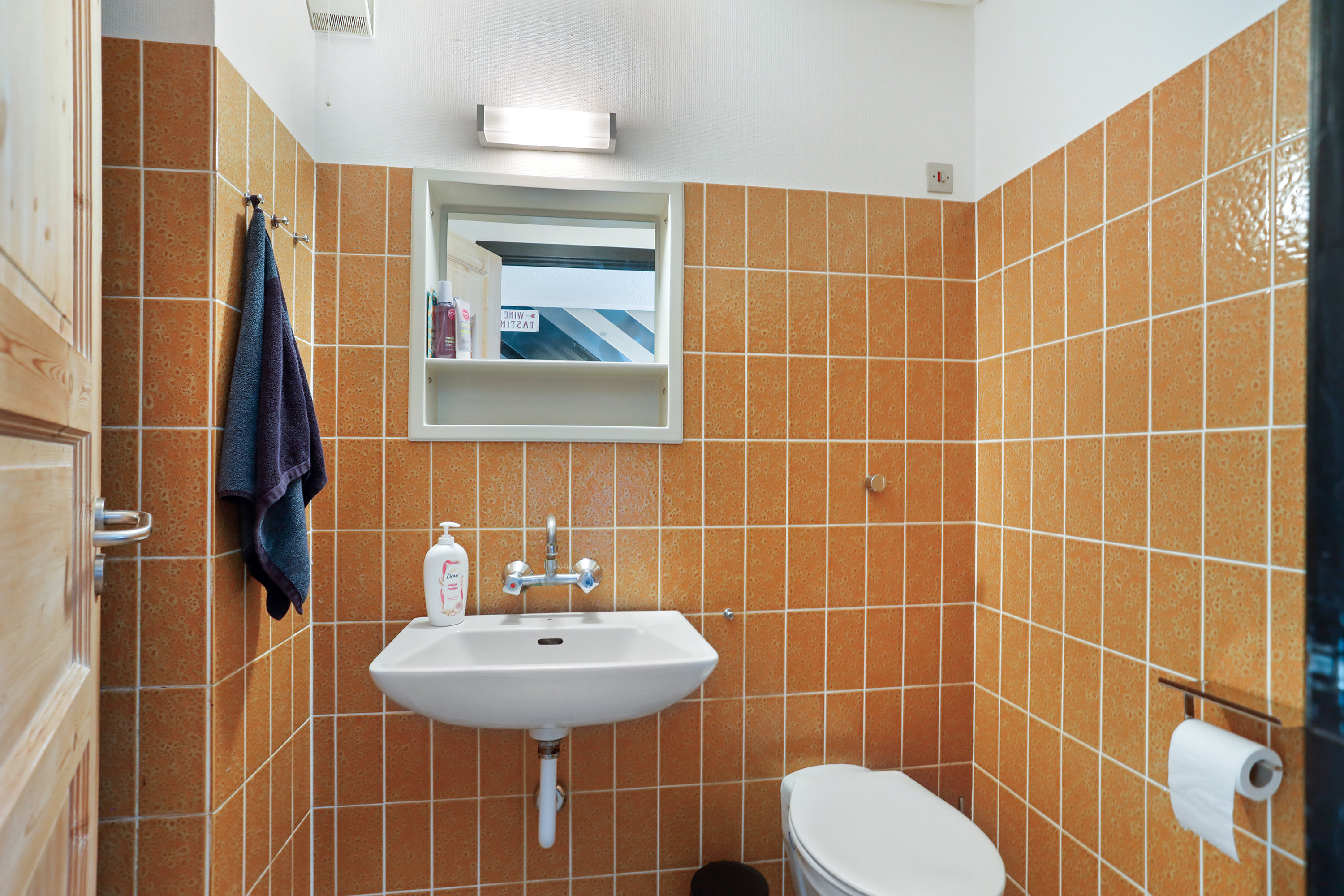 Fremhævet toilet billede i fuldskærmstilstand. Billede af Fælleddiget 81, 2300 København S