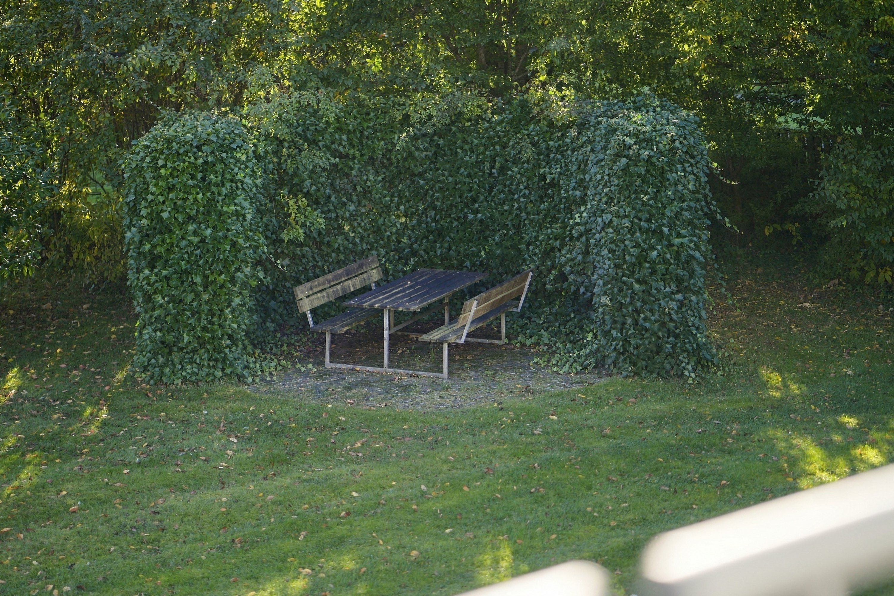 Fremhævet gårdmiljø billede i fuldskærmstilstand. Billede af Fredskovhellet 32, 1. th., 3400 Hillerød