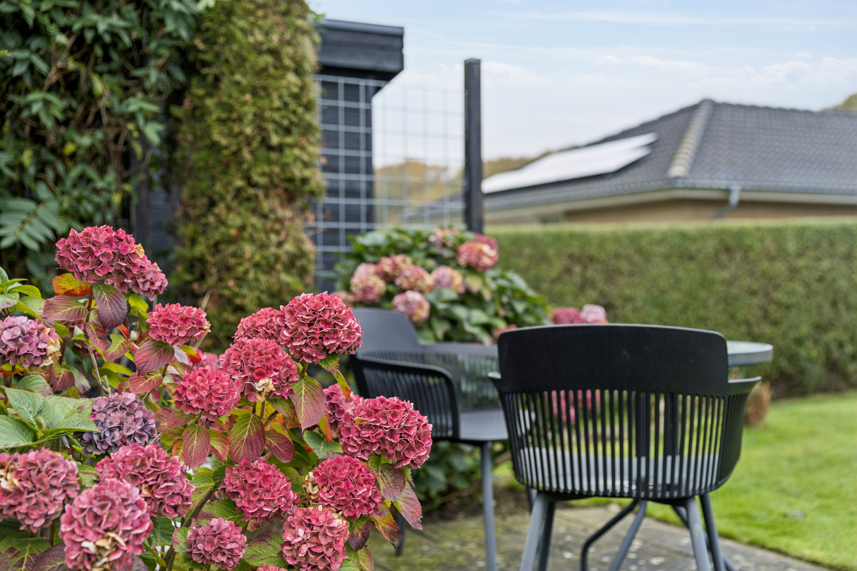 Fremhævet terrasse billede i fuldskærmstilstand. Billede af Vesterskoven 13, 9550 Mariager