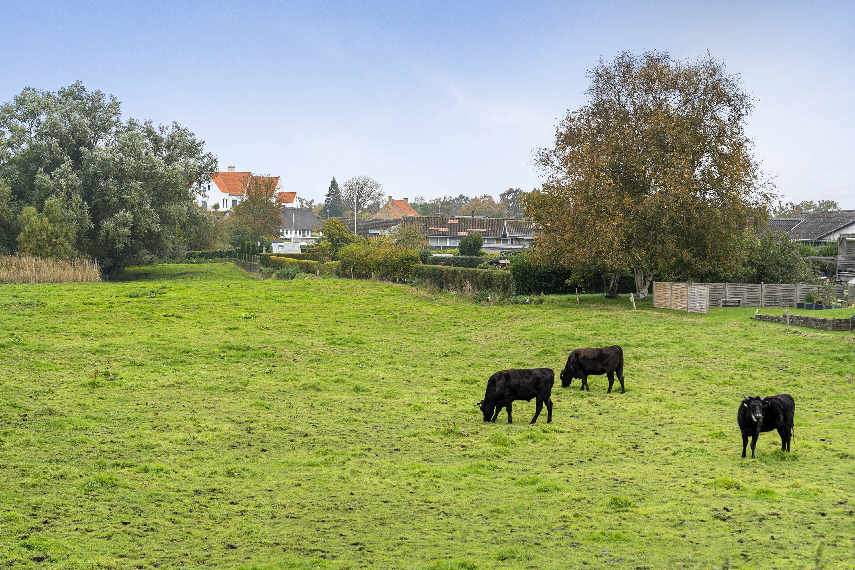 Fremhævet område billede i fuldskærmstilstand. Billede af Korshøj 15, Asserballe, 6440 Augustenborg