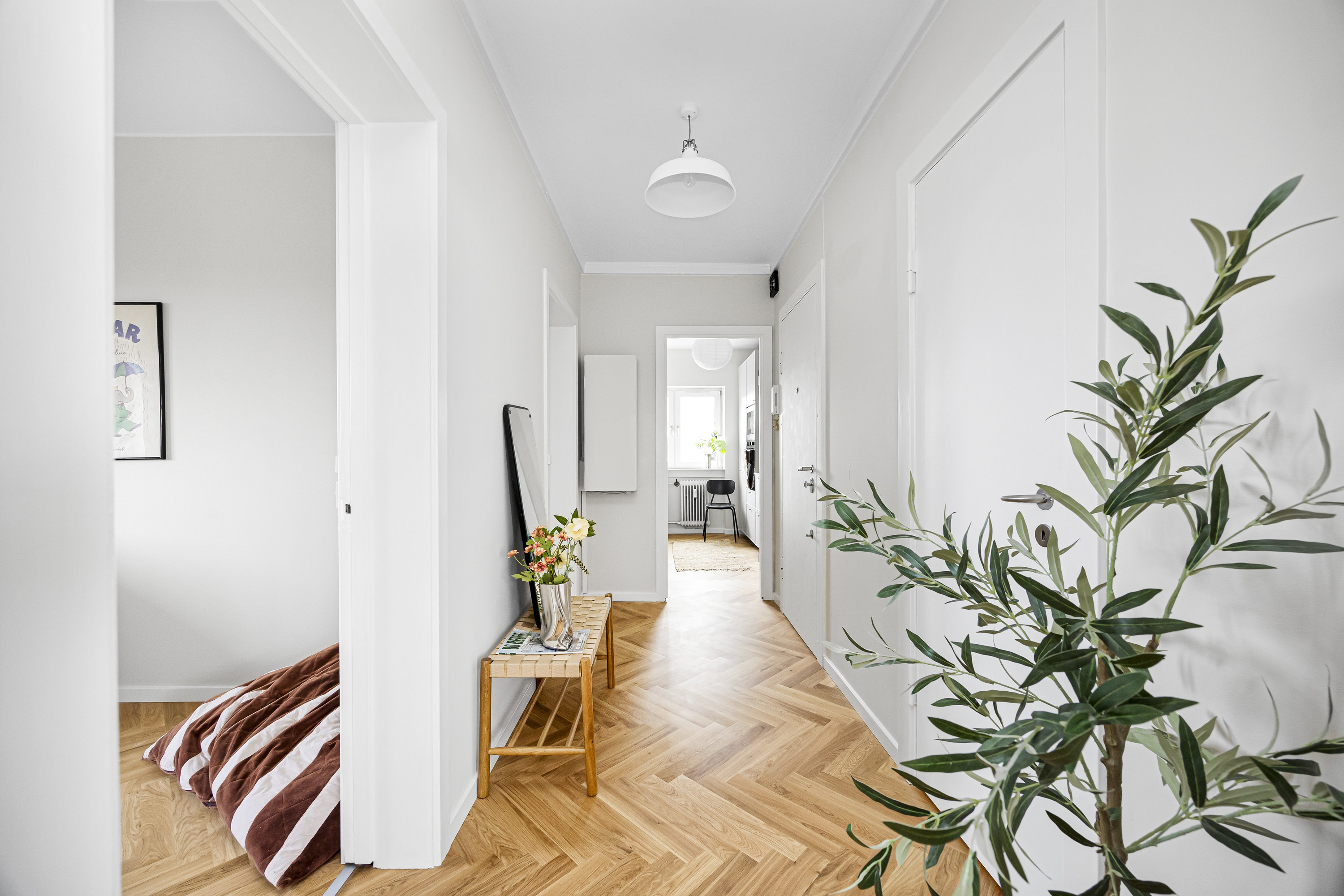 Fremhævet  billede i fuldskærmstilstand. Billede af Roskildevej 118, 3. th., 2000 Frederiksberg