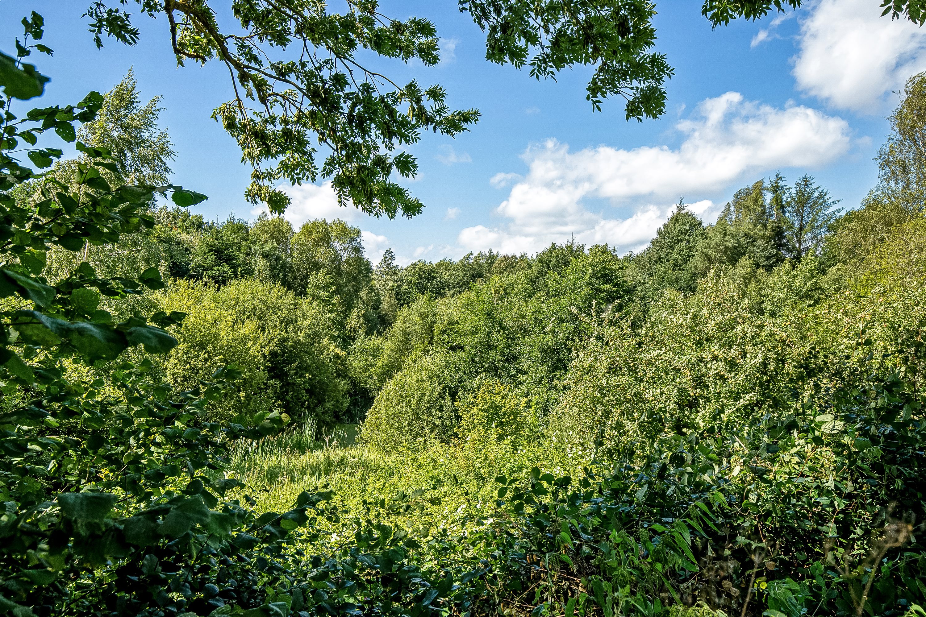 Miniaturebillede 1: område. Billede af Fagerlien 31, Egum, 7000 Fredericia