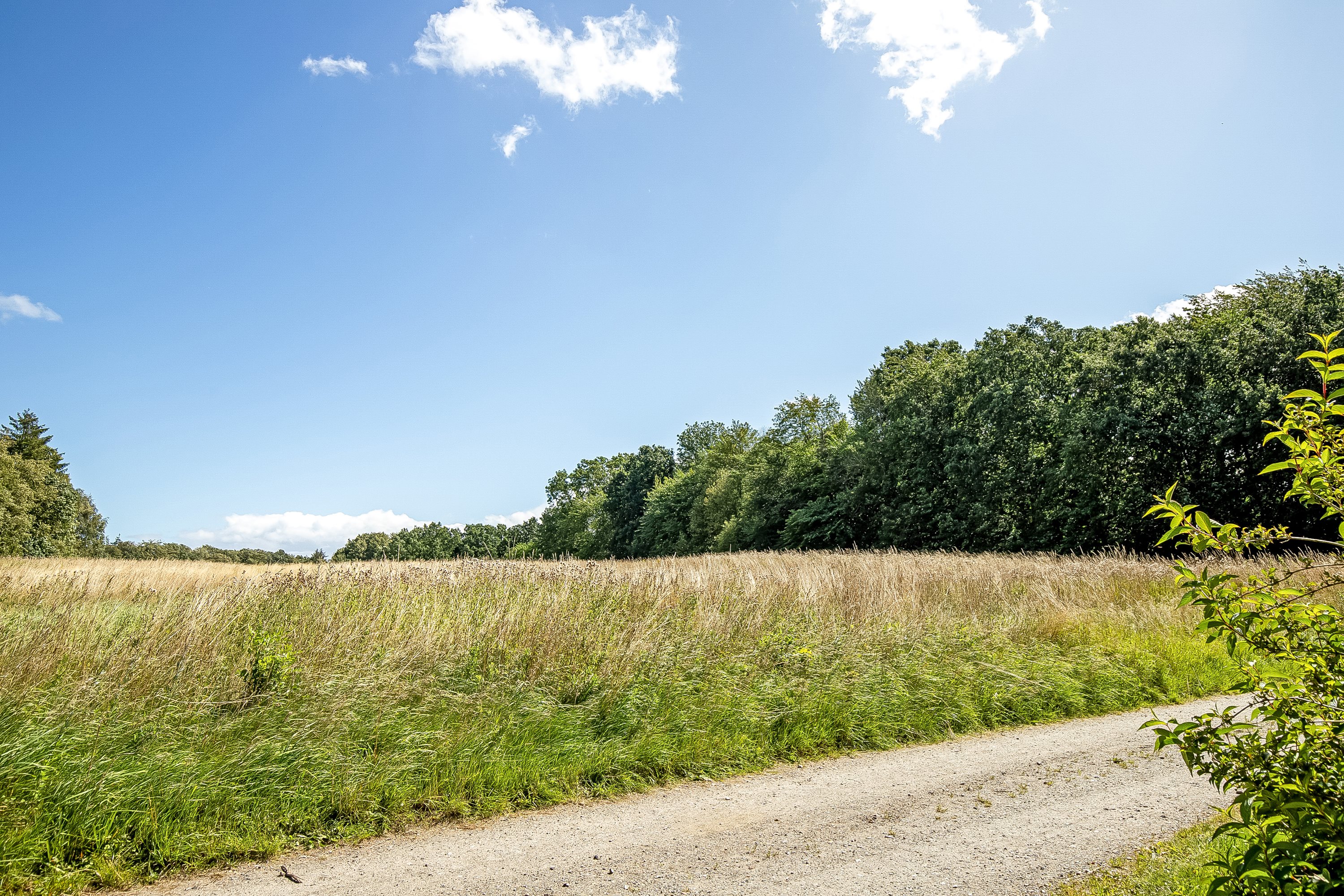 Miniaturebillede 2: område. Billede af Fagerlien 31, Egum, 7000 Fredericia