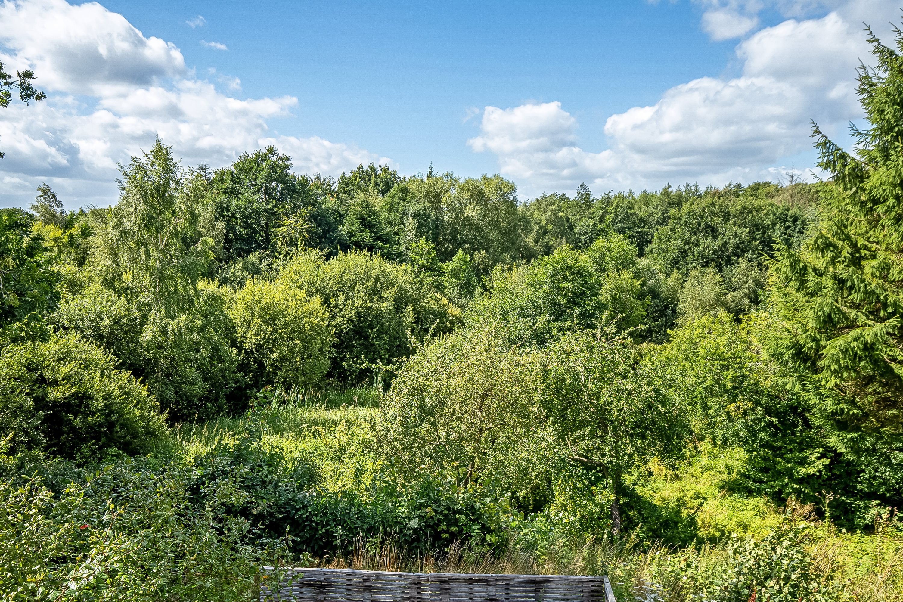 Fremhævet udsigt billede i fuldskærmstilstand. Billede af Fagerlien 31, Egum, 7000 Fredericia