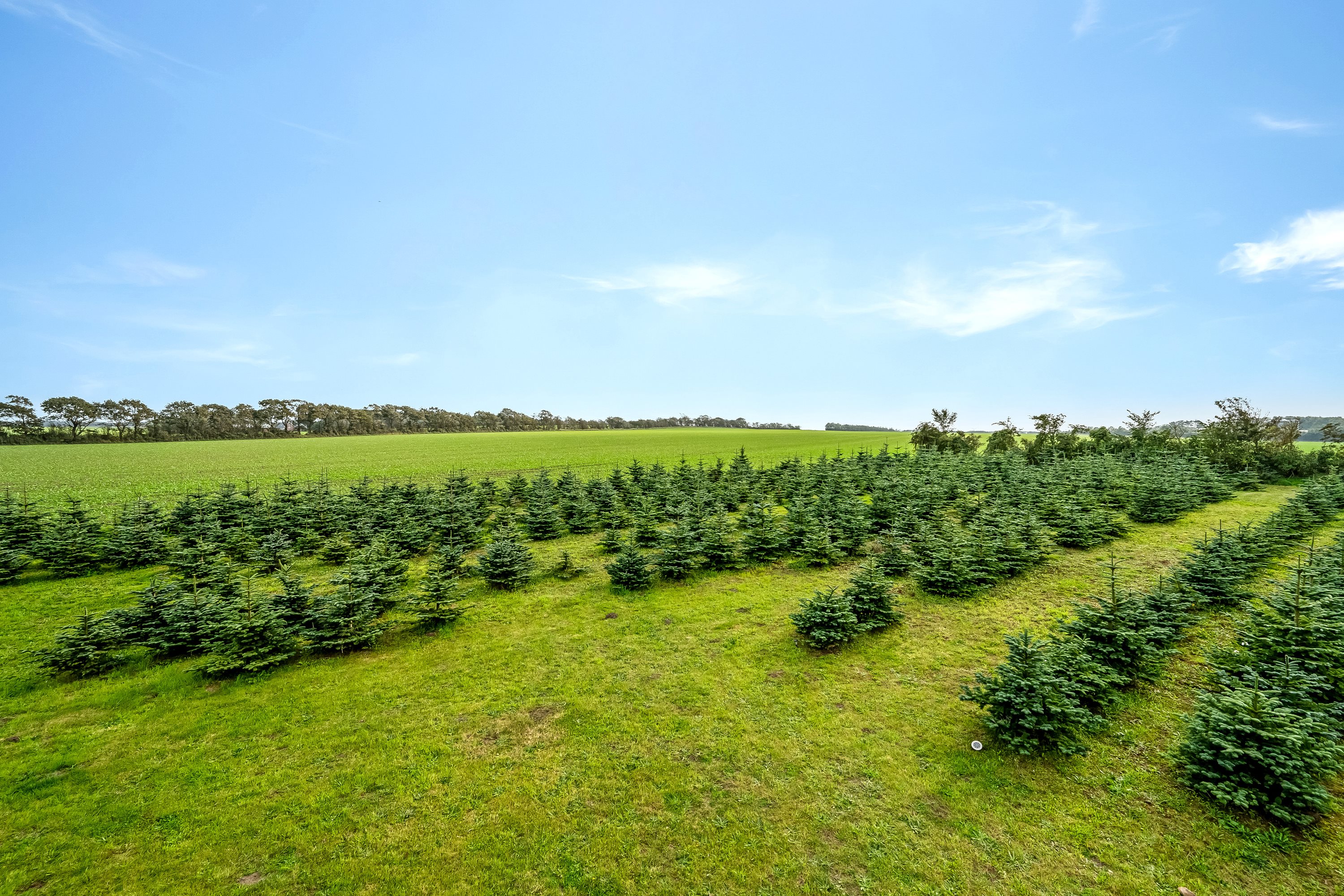 Fremhævet terrasse billede i fuldskærmstilstand. Billede af Birkelundvej 1, Vorgod Ø, 6920 Videbæk