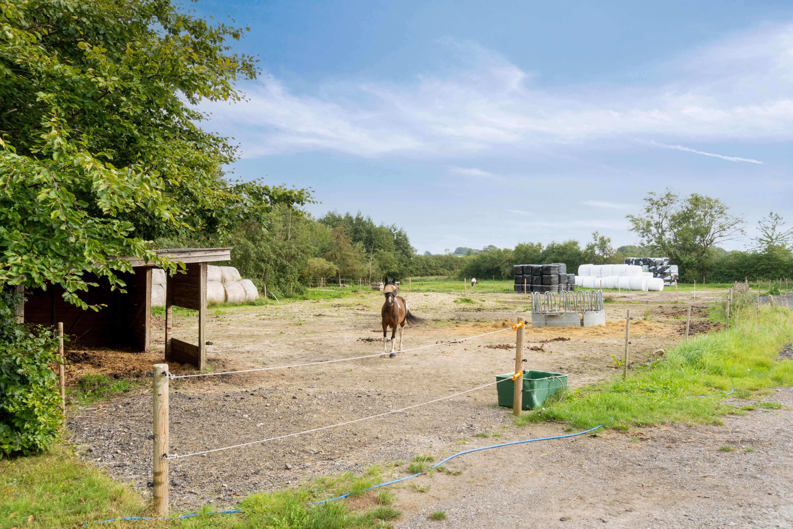 Fremhævet udendørs billede i fuldskærmstilstand. Billede af Egebjergvej 241, Lestrup, 4500 Nykøbing Sj