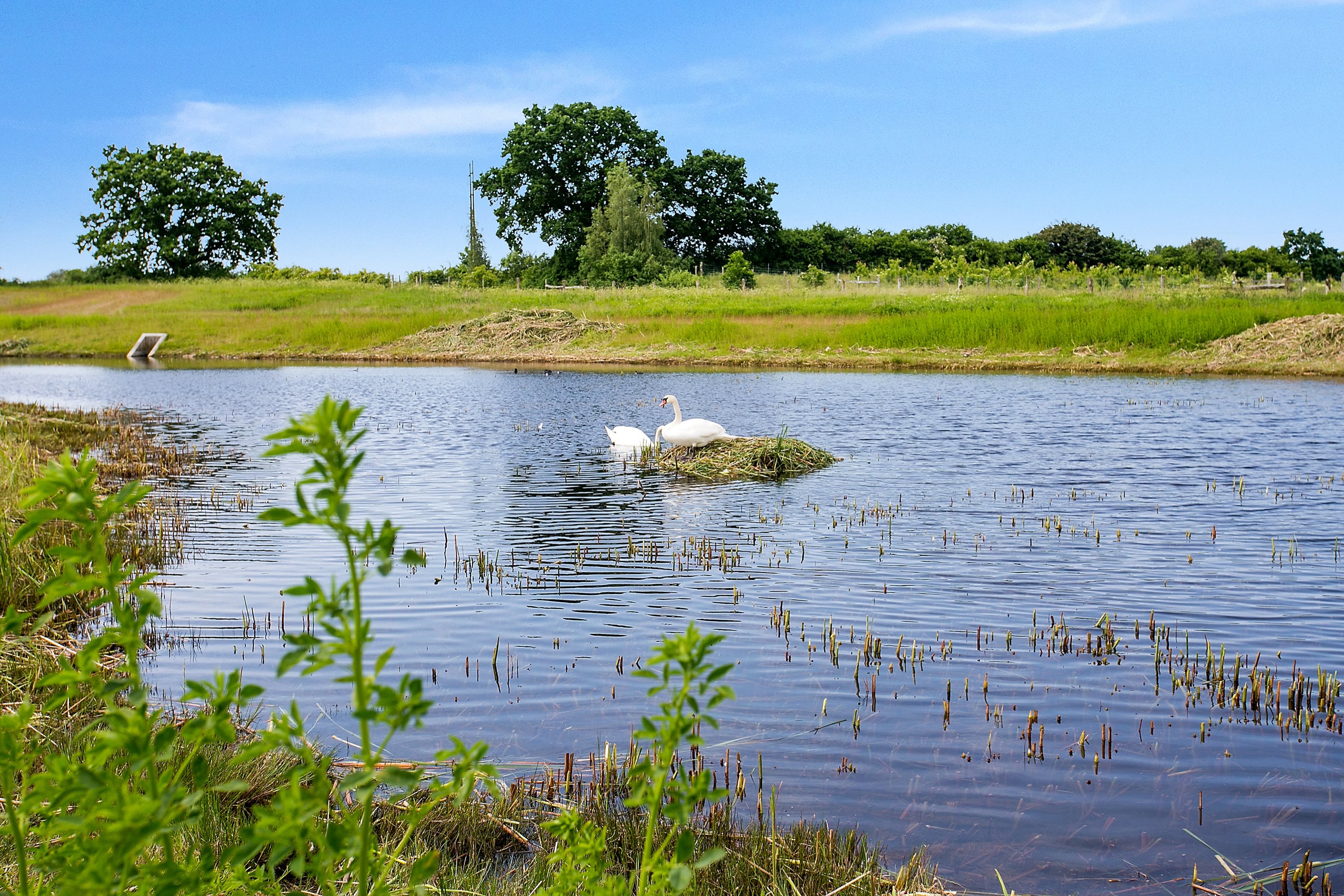 Fremhævet omgivelser billede i fuldskærmstilstand. Billede af Klosterlunden 47, 4700 Næstved