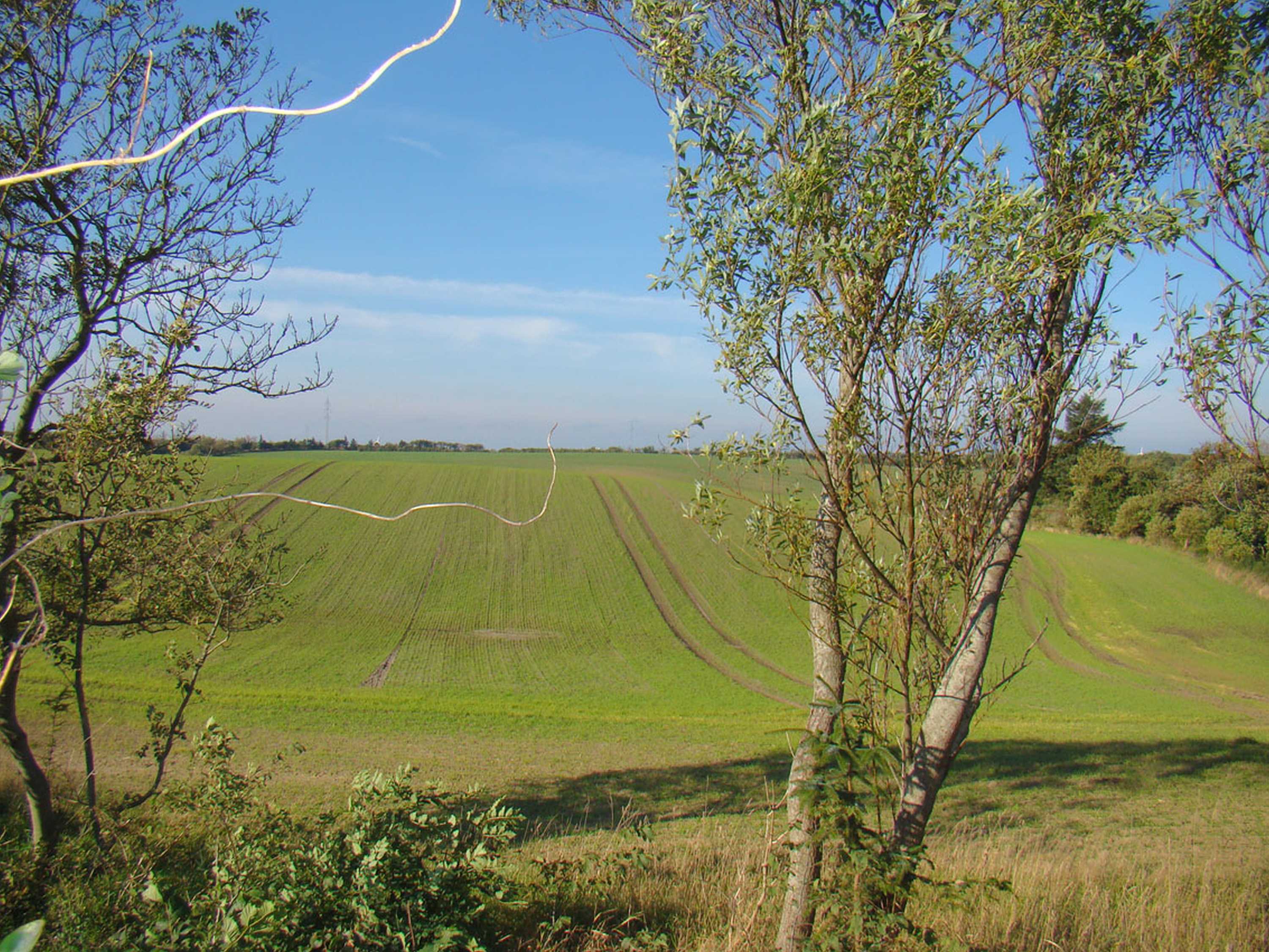 Miniaturebillede 1: . Billede af Ydbyvej 198, Ydby, 7760 Hurup Thy