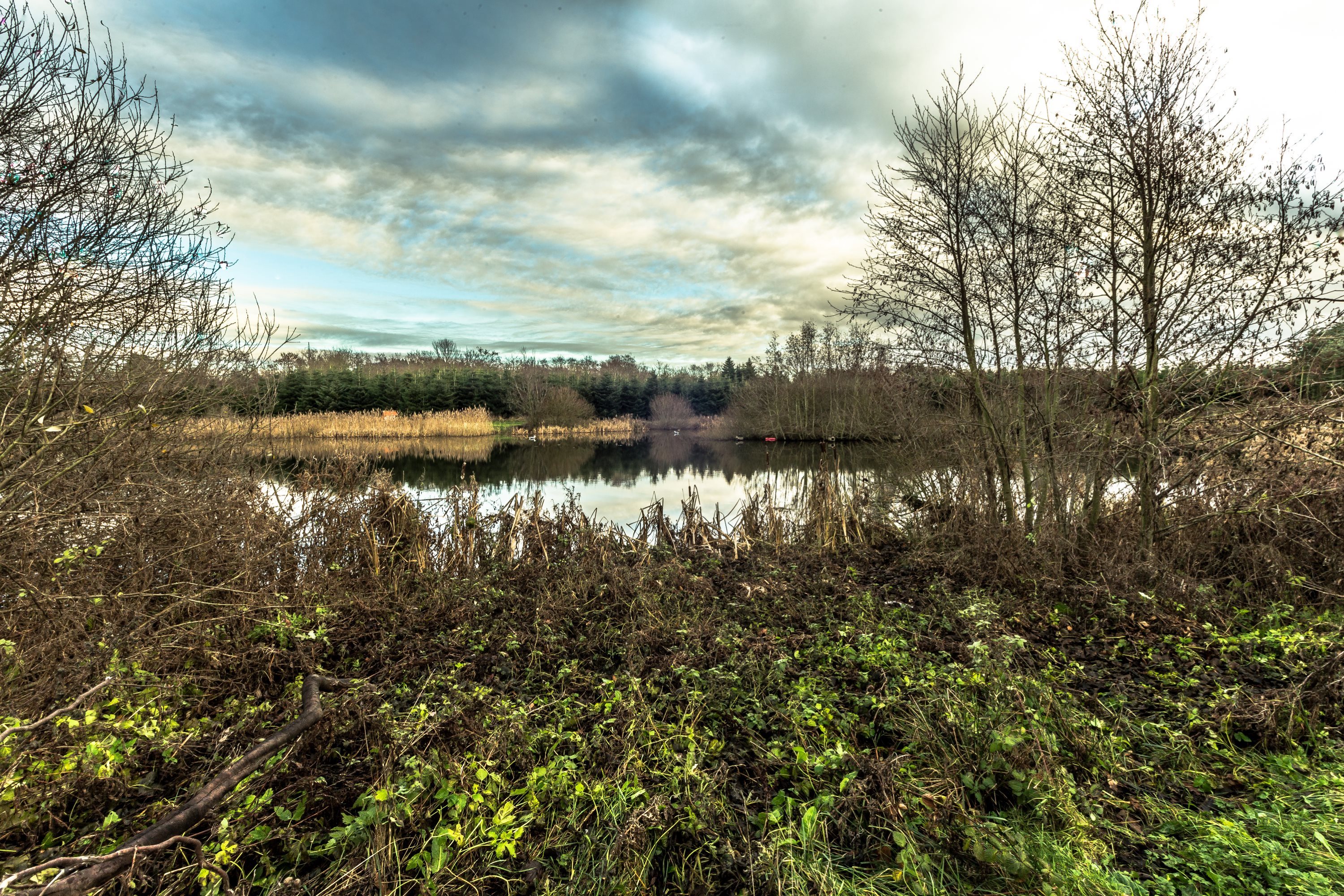 Fremhævet andet billede i fuldskærmstilstand. Billede af Mølbjerget 7, Rodskov, 8543 Hornslet