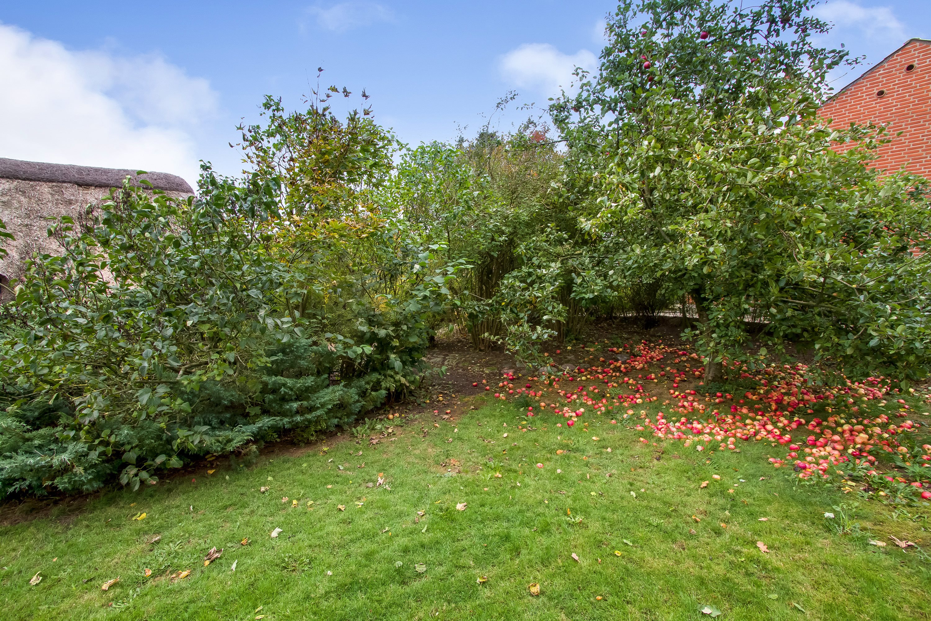 Fremhævet have billede i fuldskærmstilstand. Billede af Spentrupvej 19, Hald, 8983 Gjerlev J