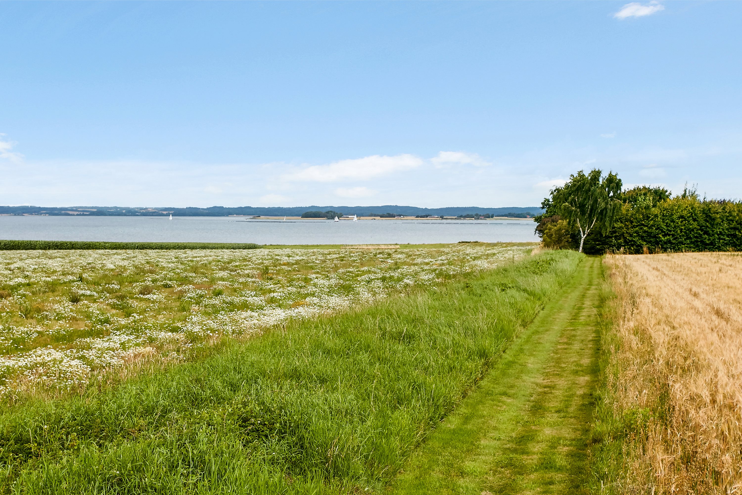 Fremhævet udsigt billede i fuldskærmstilstand. Billede af Snaptunvej 33A, Snaptun, 7130 Juelsminde