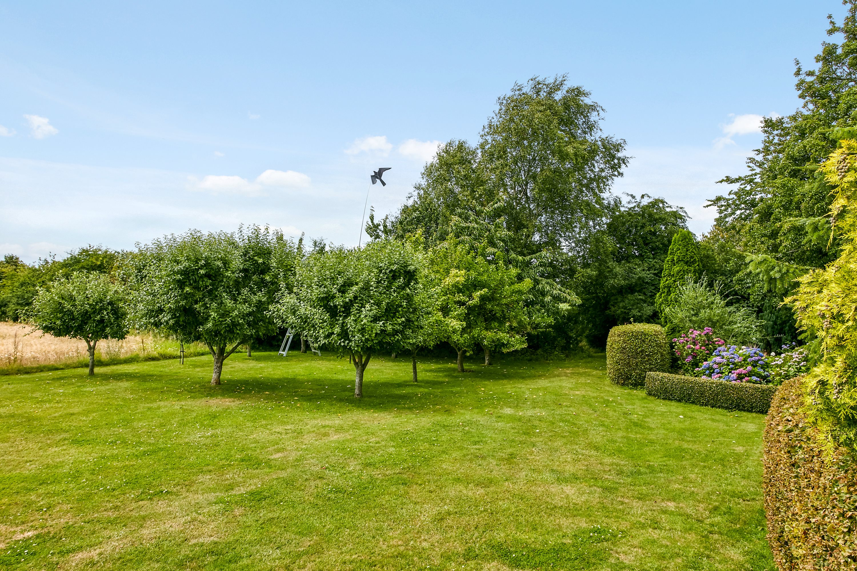 Fremhævet have billede i fuldskærmstilstand. Billede af Snaptunvej 33A, Snaptun, 7130 Juelsminde