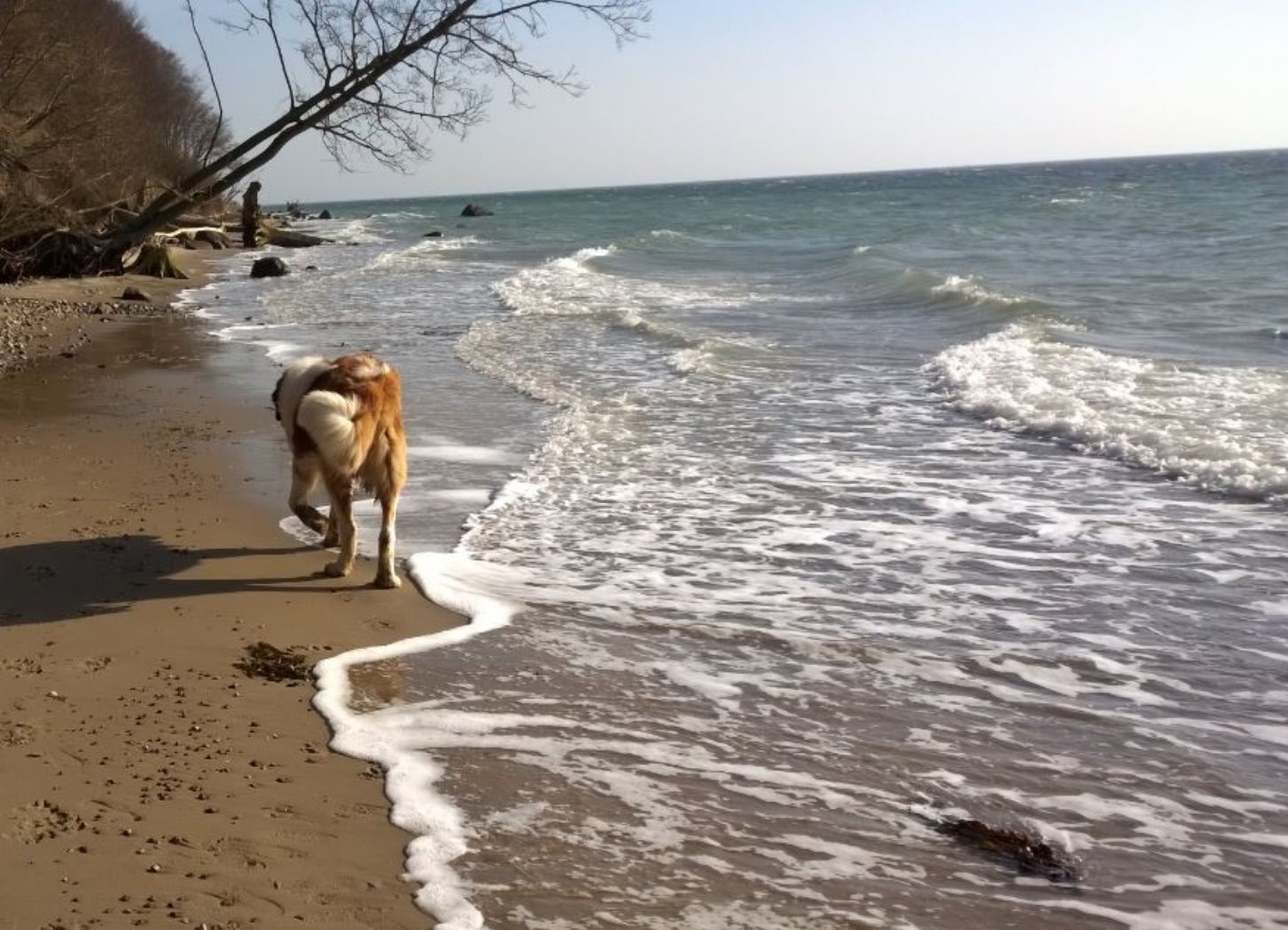 Fremhævet område billede i fuldskærmstilstand. Billede af Høkervænget 2, 7150 Barrit
