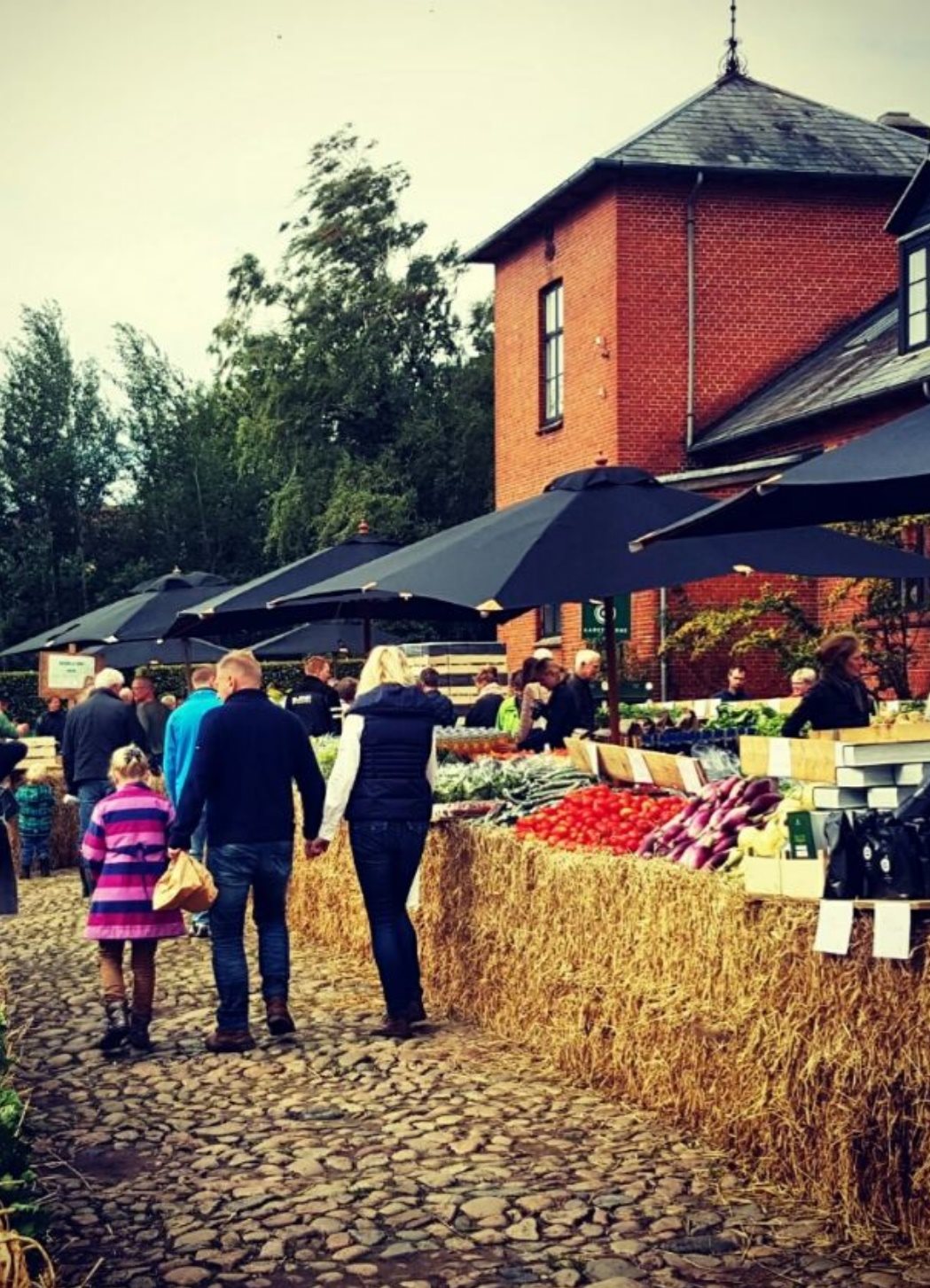 Fremhævet område billede i fuldskærmstilstand. Billede af Høkervænget 2, 7150 Barrit