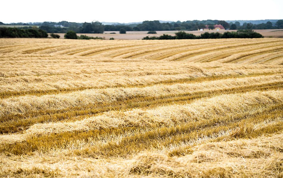 Fremhævet område billede i fuldskærmstilstand. Billede af Kirketoften 11, Rårup, 7130 Juelsminde