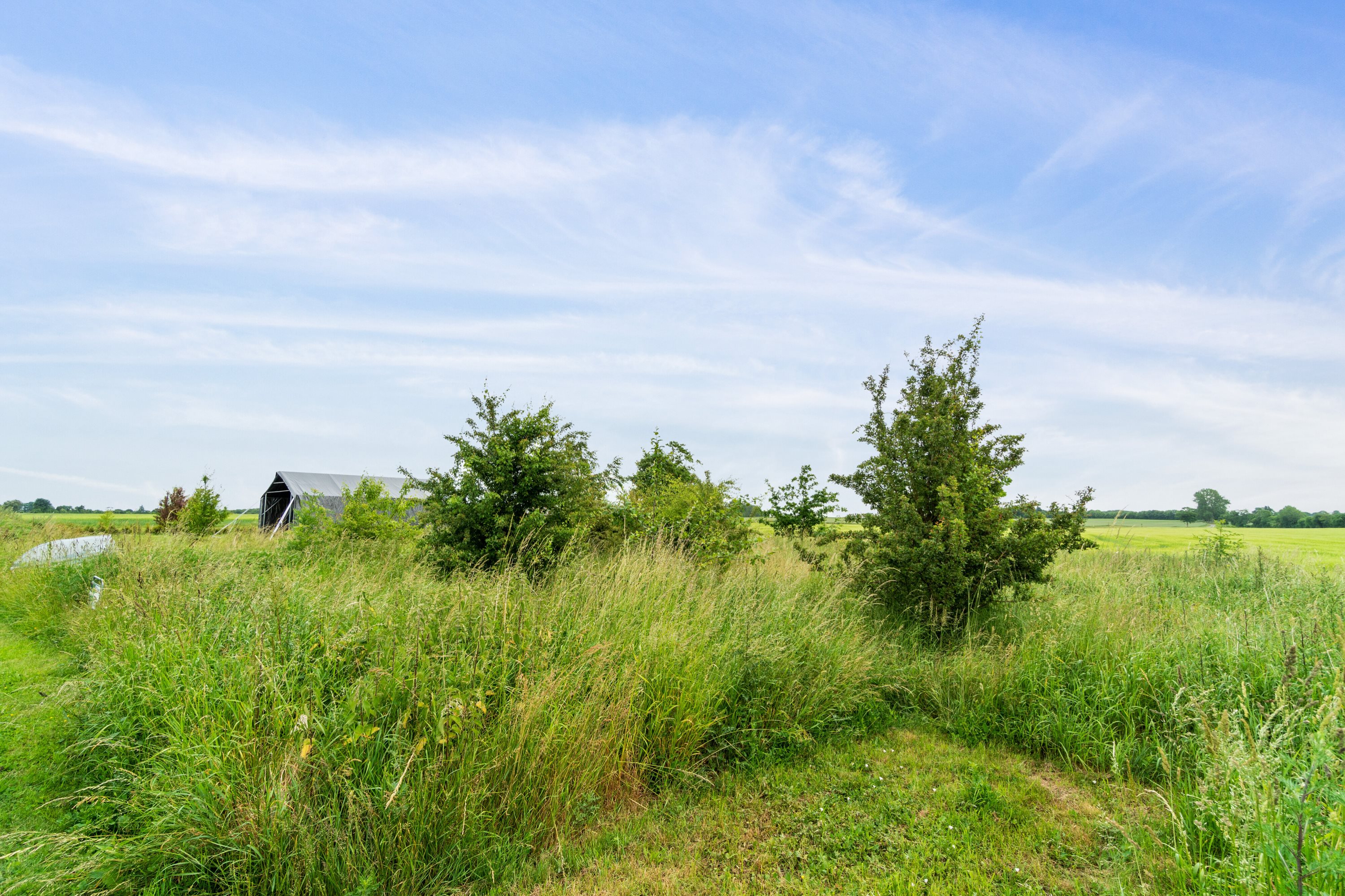 Fremhævet omgivelser billede i fuldskærmstilstand. Billede af Maltvej 10, Orup, 4640 Faxe