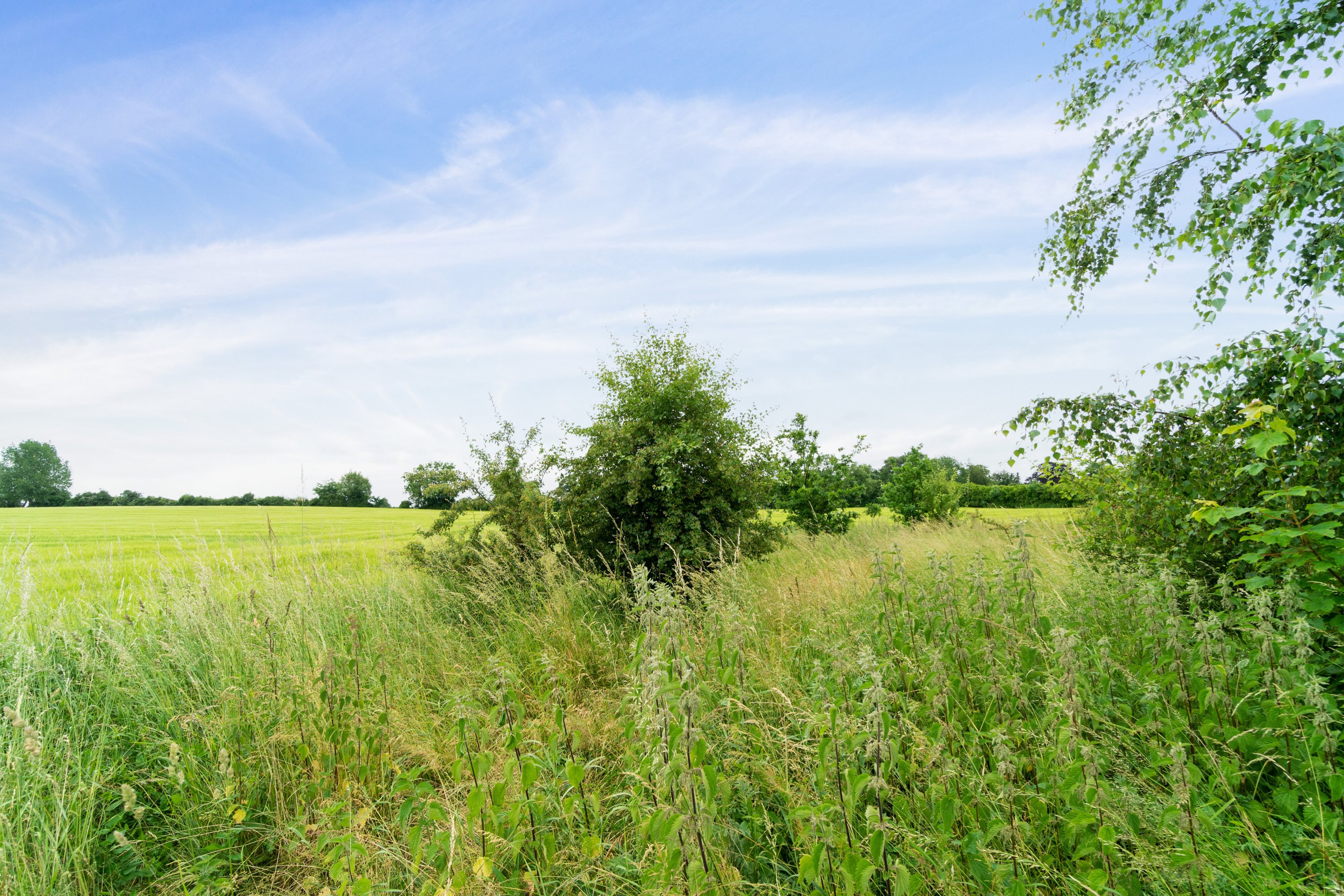 Fremhævet omgivelser billede i fuldskærmstilstand. Billede af Maltvej 10, Orup, 4640 Faxe