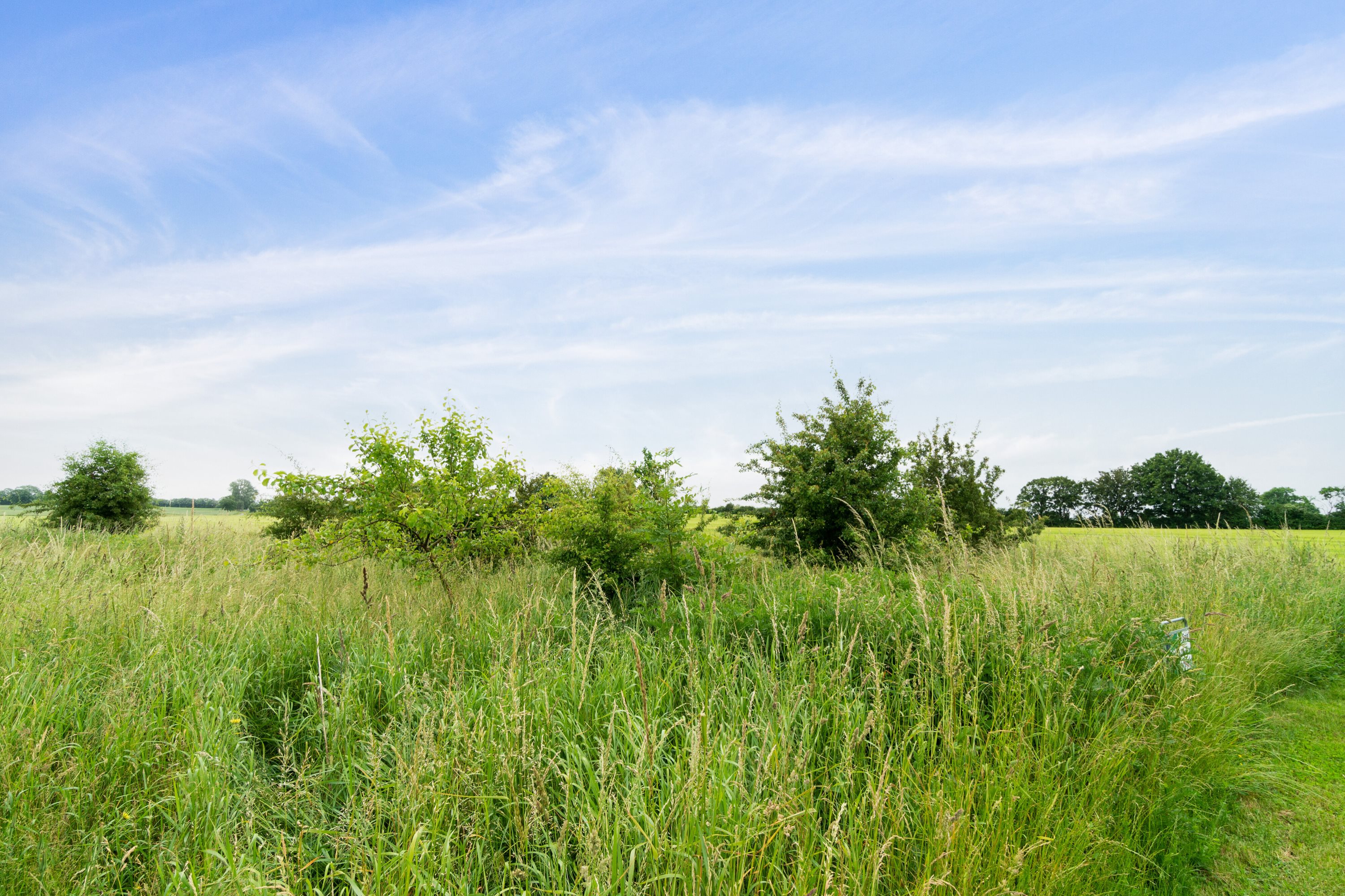 Fremhævet omgivelser billede i fuldskærmstilstand. Billede af Maltvej 10, Orup, 4640 Faxe