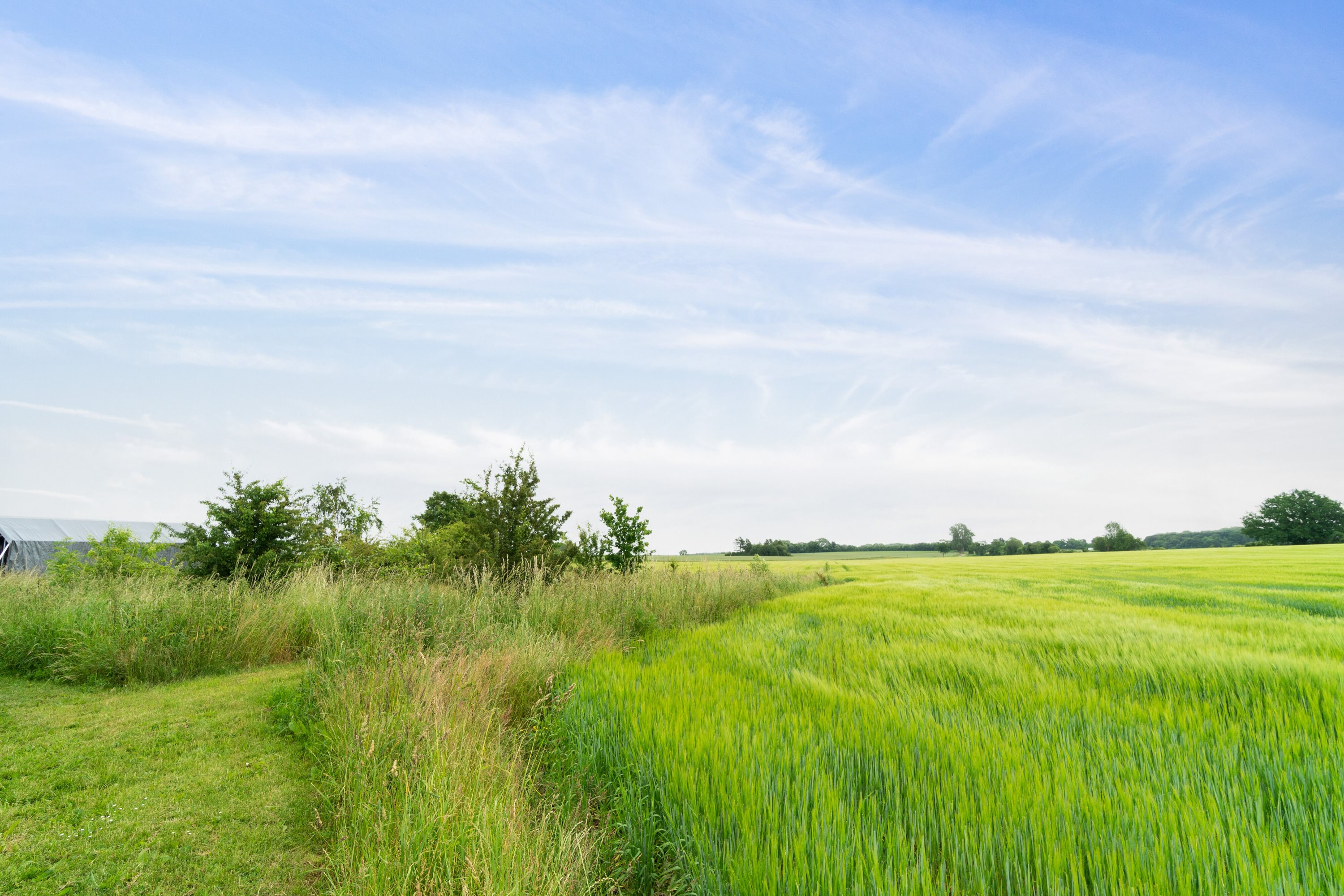 Fremhævet omgivelser billede i fuldskærmstilstand. Billede af Maltvej 10, Orup, 4640 Faxe