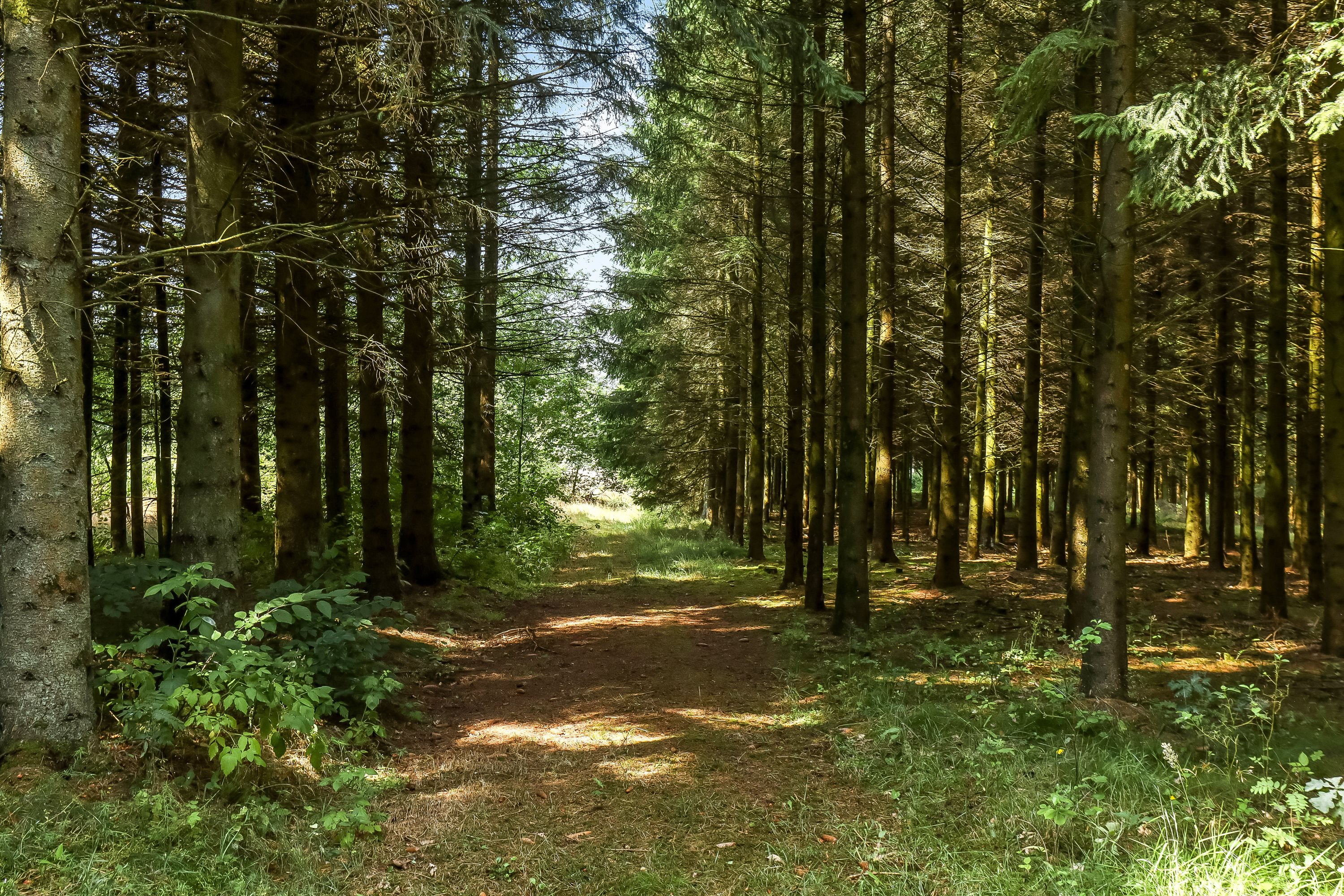 Fremhævet ejendommen billede i fuldskærmstilstand. Billede af Buskhedevej 23, 8600 Silkeborg