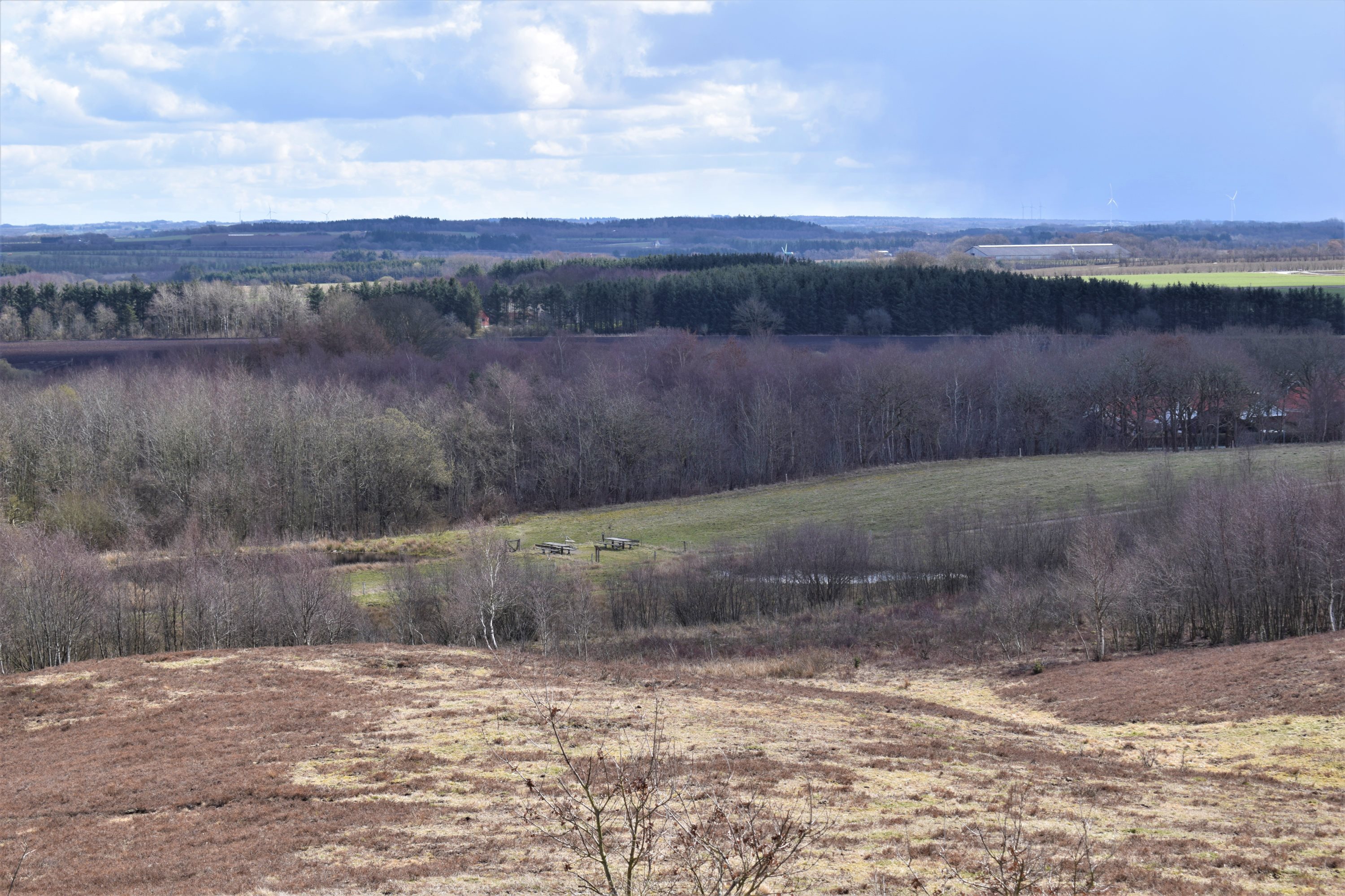 Fremhævet område billede i fuldskærmstilstand. Billede af Højsageralle 2, 6920 Videbæk