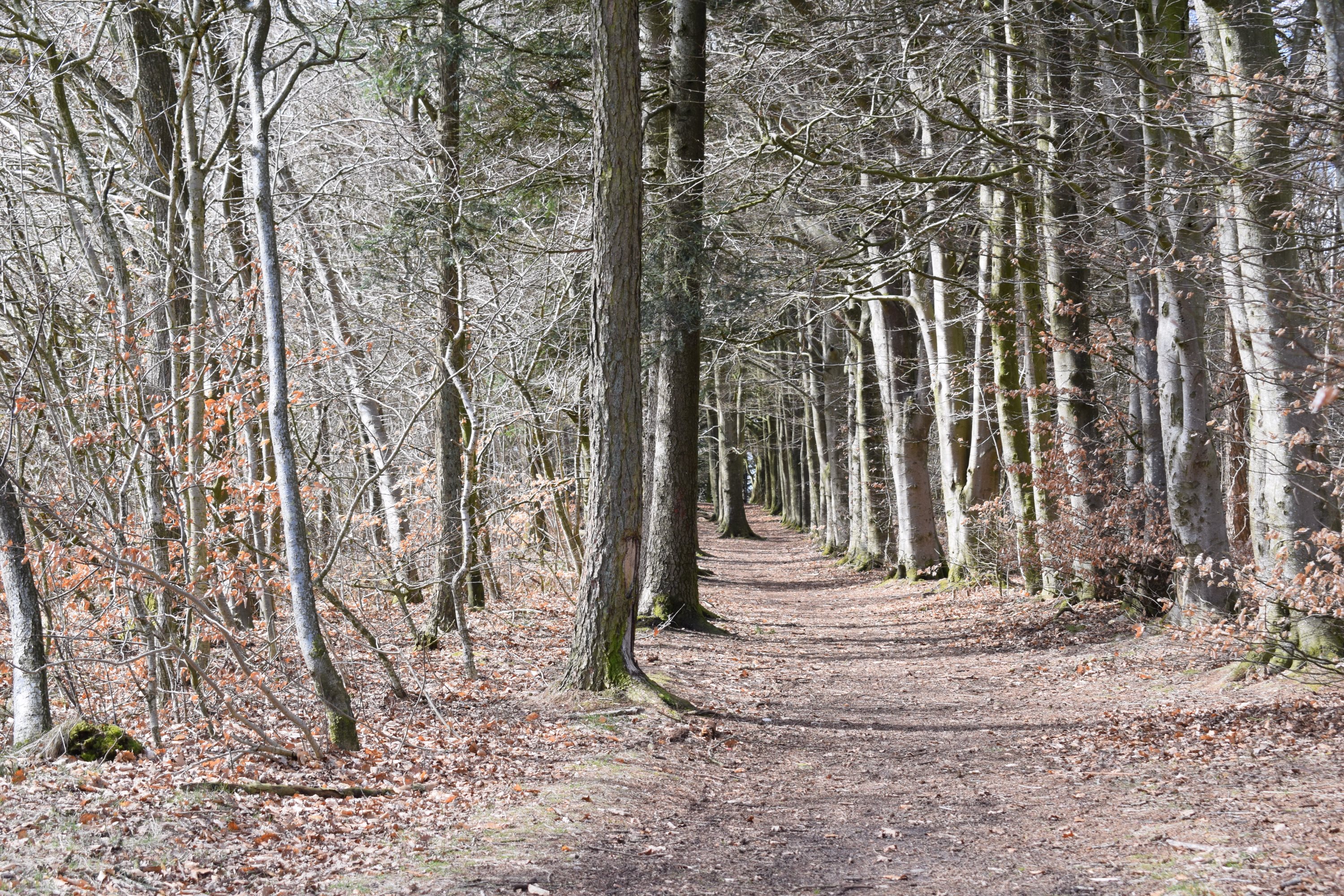 Fremhævet område billede i fuldskærmstilstand. Billede af Højsageralle 5, 6920 Videbæk
