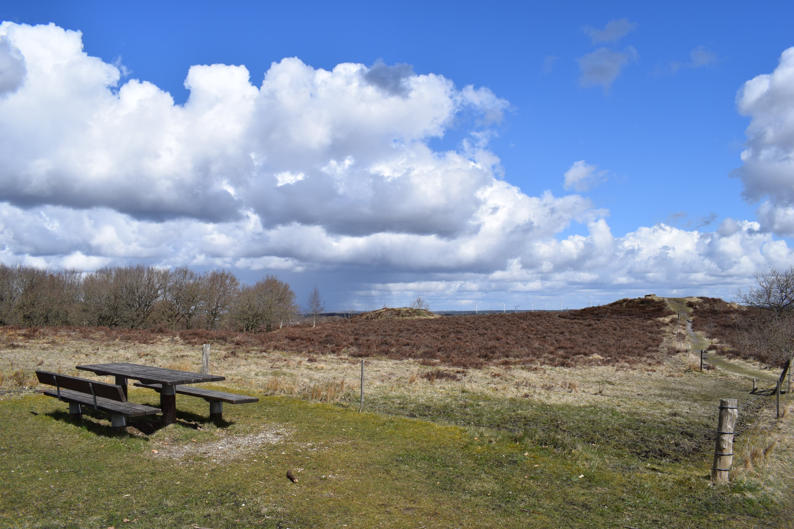 Fremhævet område billede i fuldskærmstilstand. Billede af Højsageralle 9, 6920 Videbæk