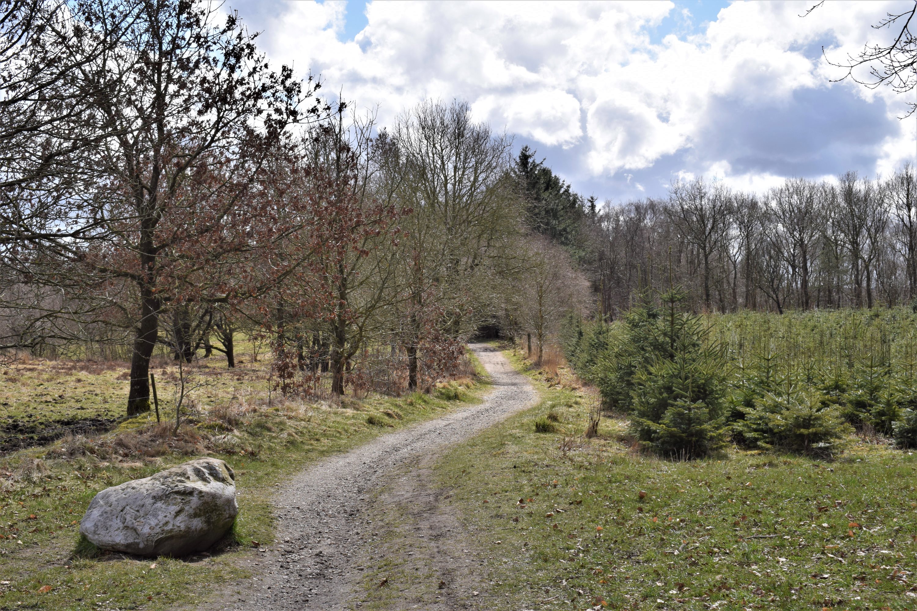 Fremhævet område billede i fuldskærmstilstand. Billede af Højsageralle 16, 6920 Videbæk