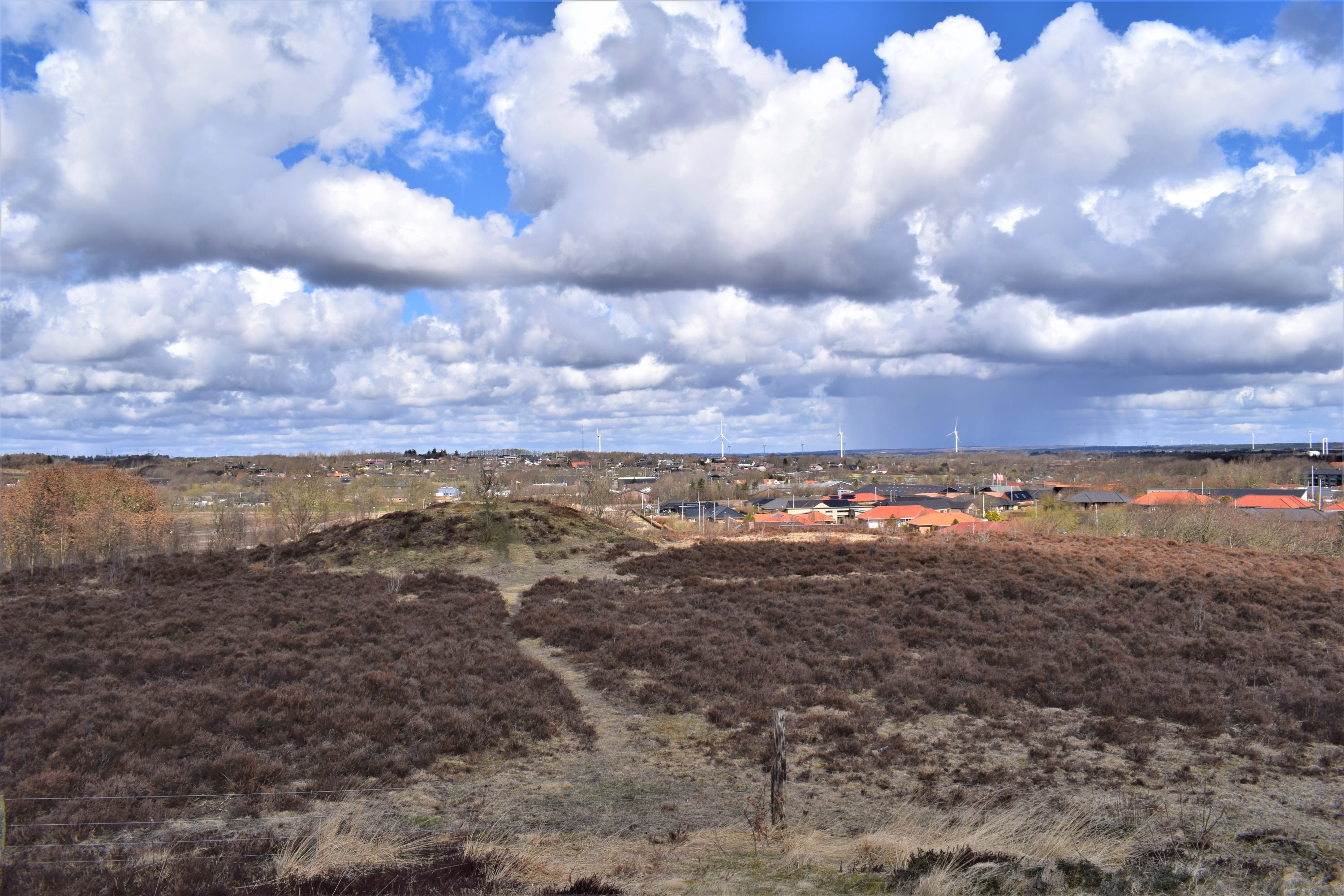 Fremhævet område billede i fuldskærmstilstand. Billede af Højsageralle 17, 6920 Videbæk