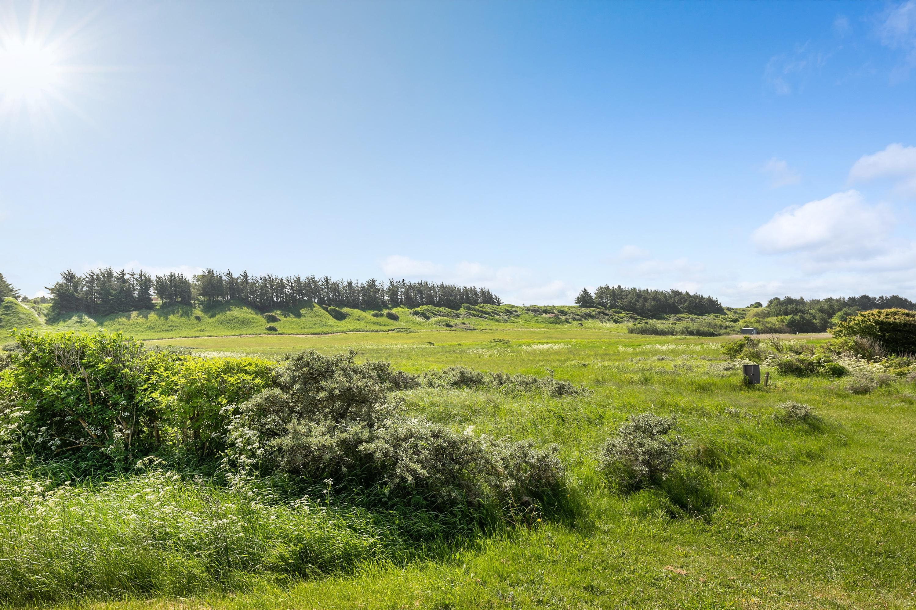 Fremhævet udsigt billede i fuldskærmstilstand. Billede af Indemarken 26, Skallerup, 9800 Hjørring