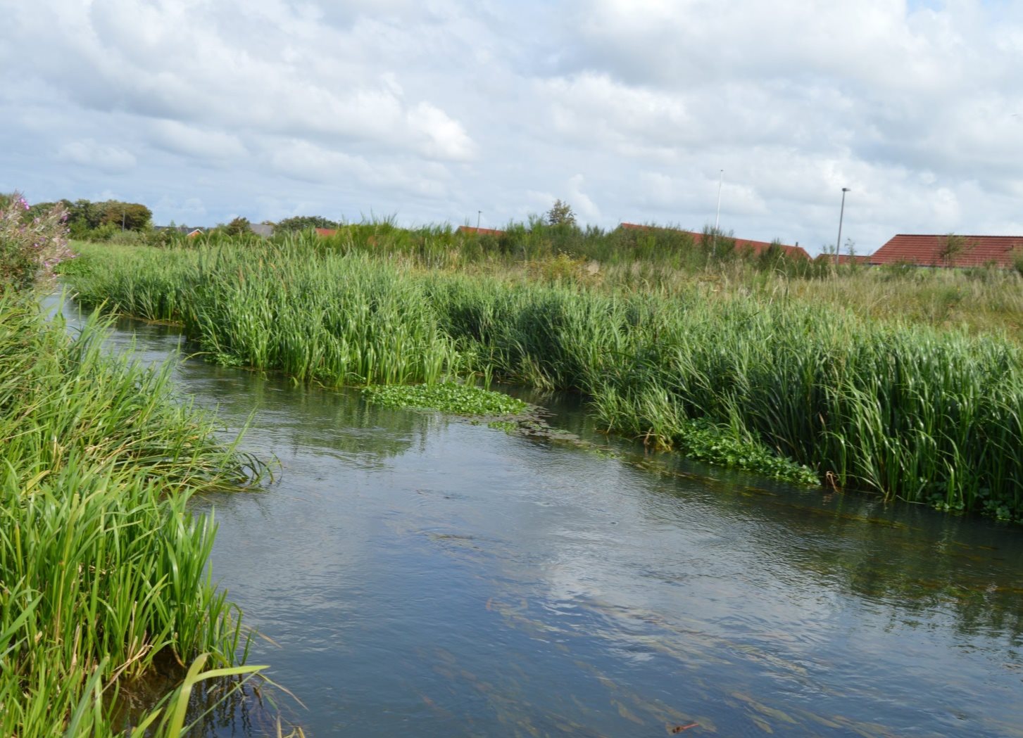 Fremhævet andet billede i fuldskærmstilstand. Billede af Klosterholmen 28, 6900 Skjern