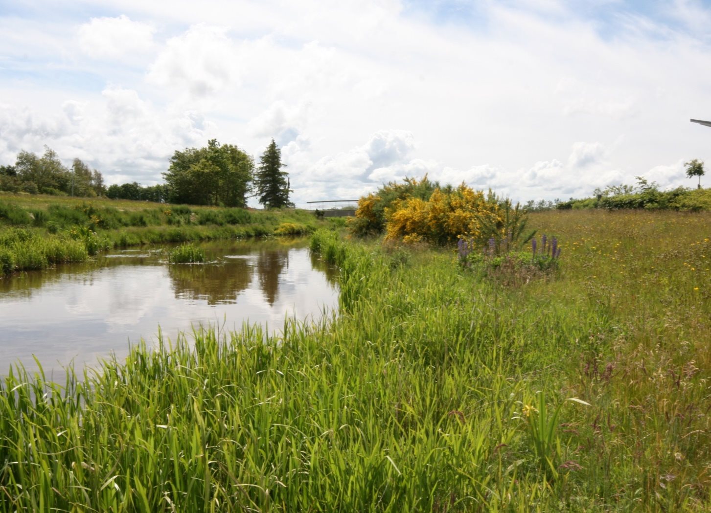 Fremhævet andet billede i fuldskærmstilstand. Billede af Klosterholmen 3, 6900 Skjern