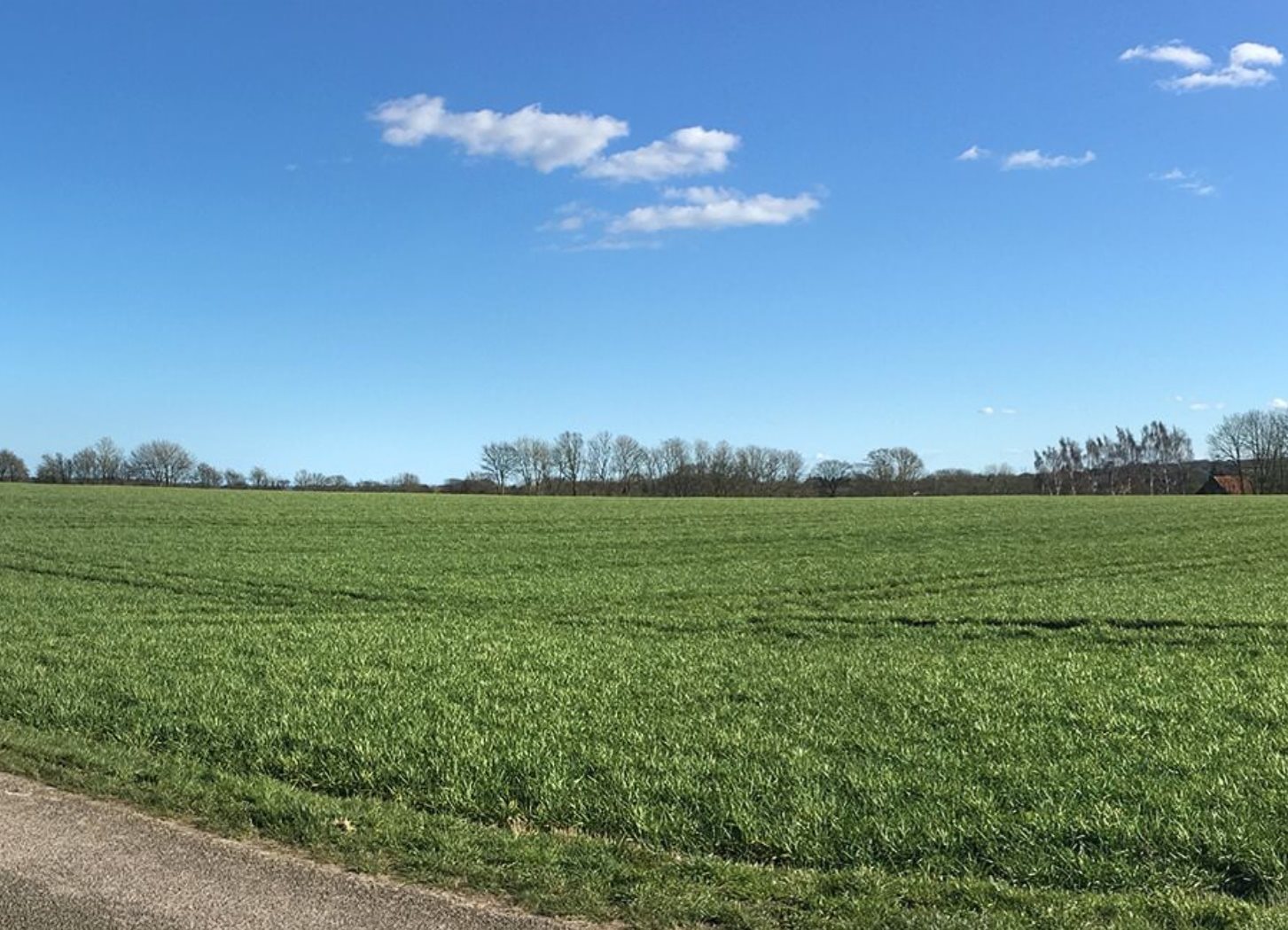 Miniaturebillede 1: område. Billede af Kirketoften 16, Rårup, 7130 Juelsminde