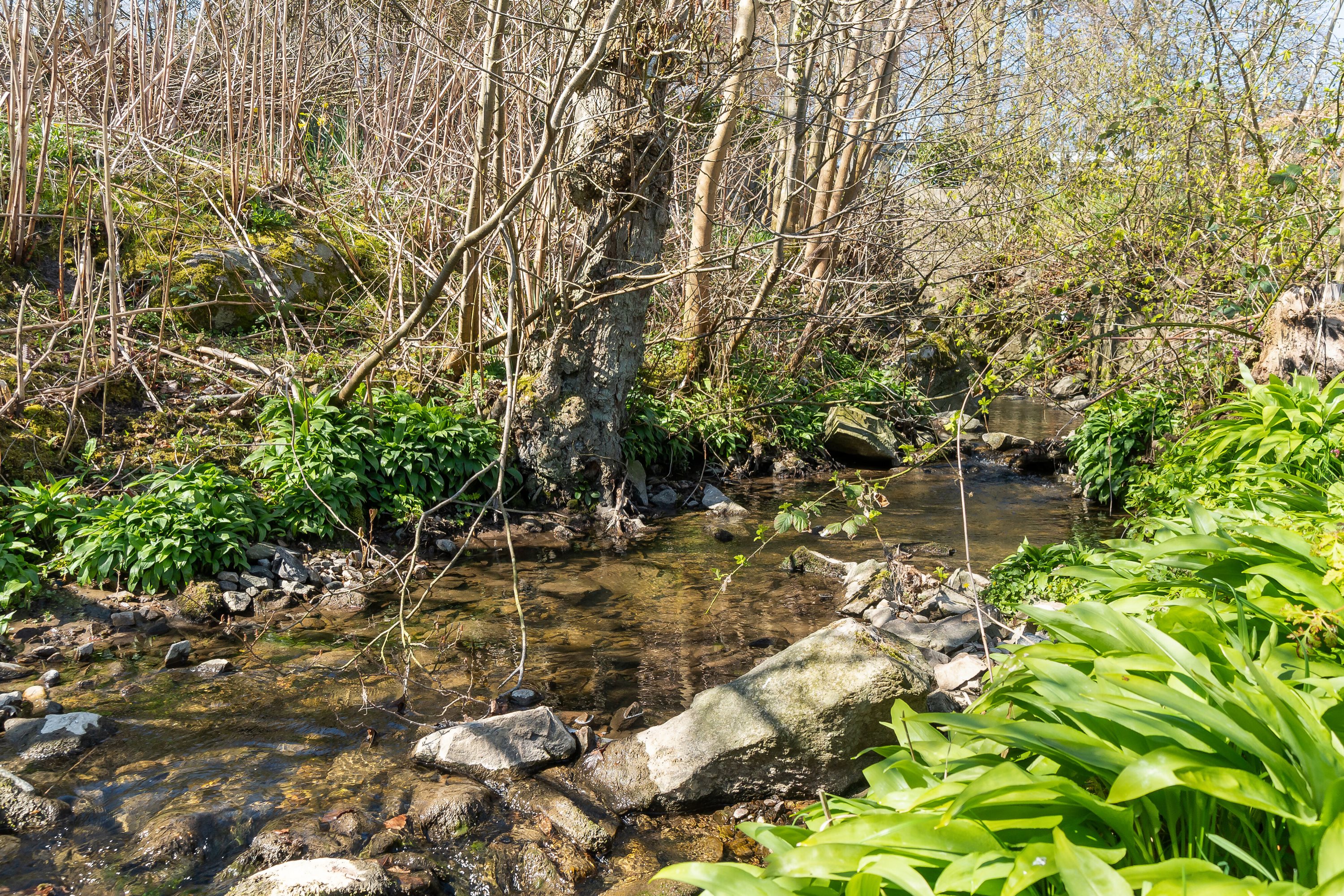 Fremhævet omgivelser billede i fuldskærmstilstand. Billede af Bækken 1, Melsted, 3760 Gudhjem