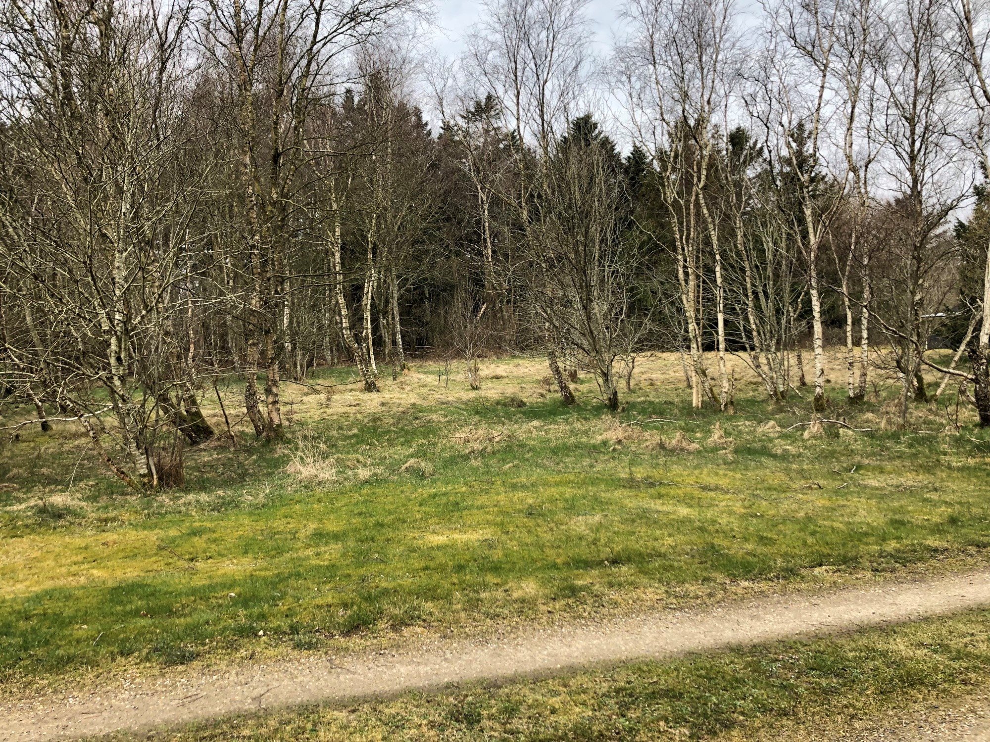 Miniaturebillede 2: andet. Billede af Kroghsvej 3, Sillerslev, 7990 Øster Assels