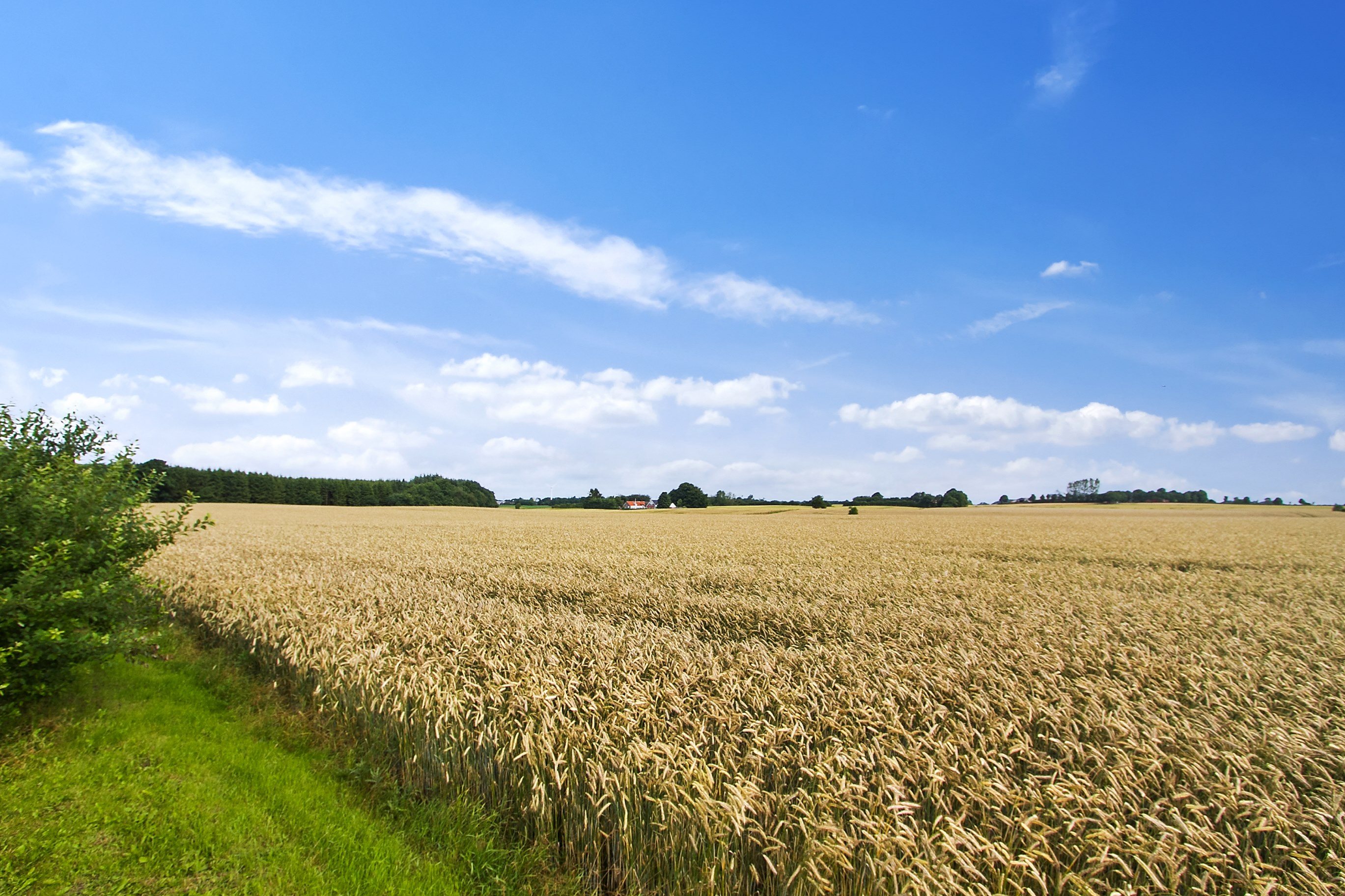 Fremhævet andet billede i fuldskærmstilstand. Billede af Mølvanggårdsvej 6, 7300 Jelling