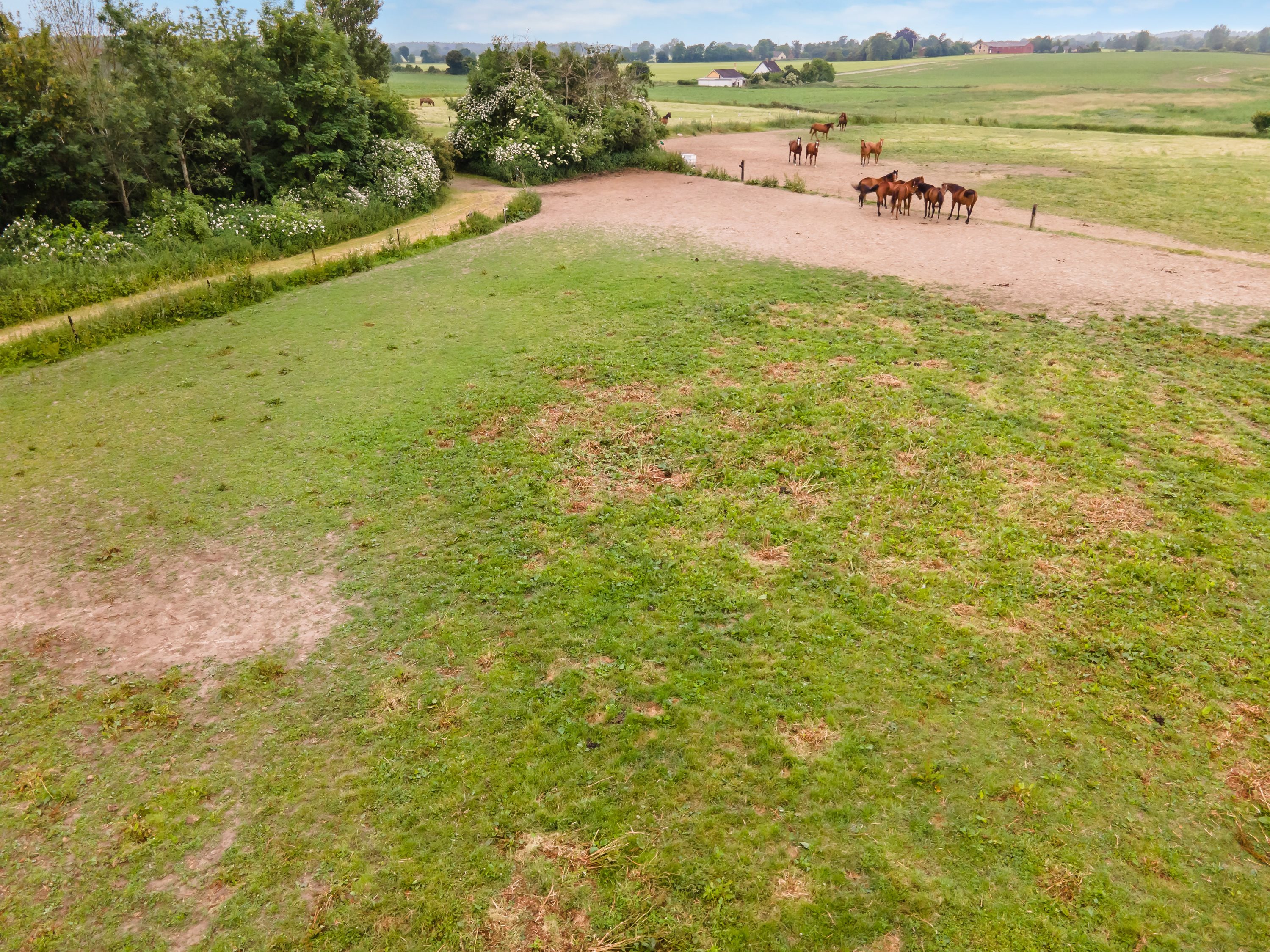 Fremhævet luftfoto billede i fuldskærmstilstand. Billede af Sørupvej 21, 4863 Eskilstrup