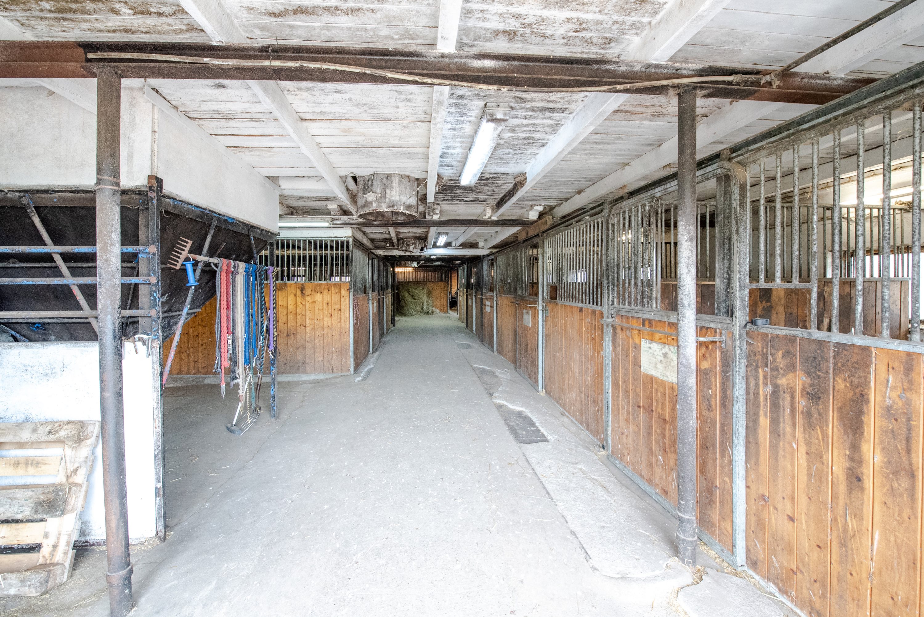 Fremhævet hesteboks billede i fuldskærmstilstand. Billede af Sørupvej 21, 4863 Eskilstrup