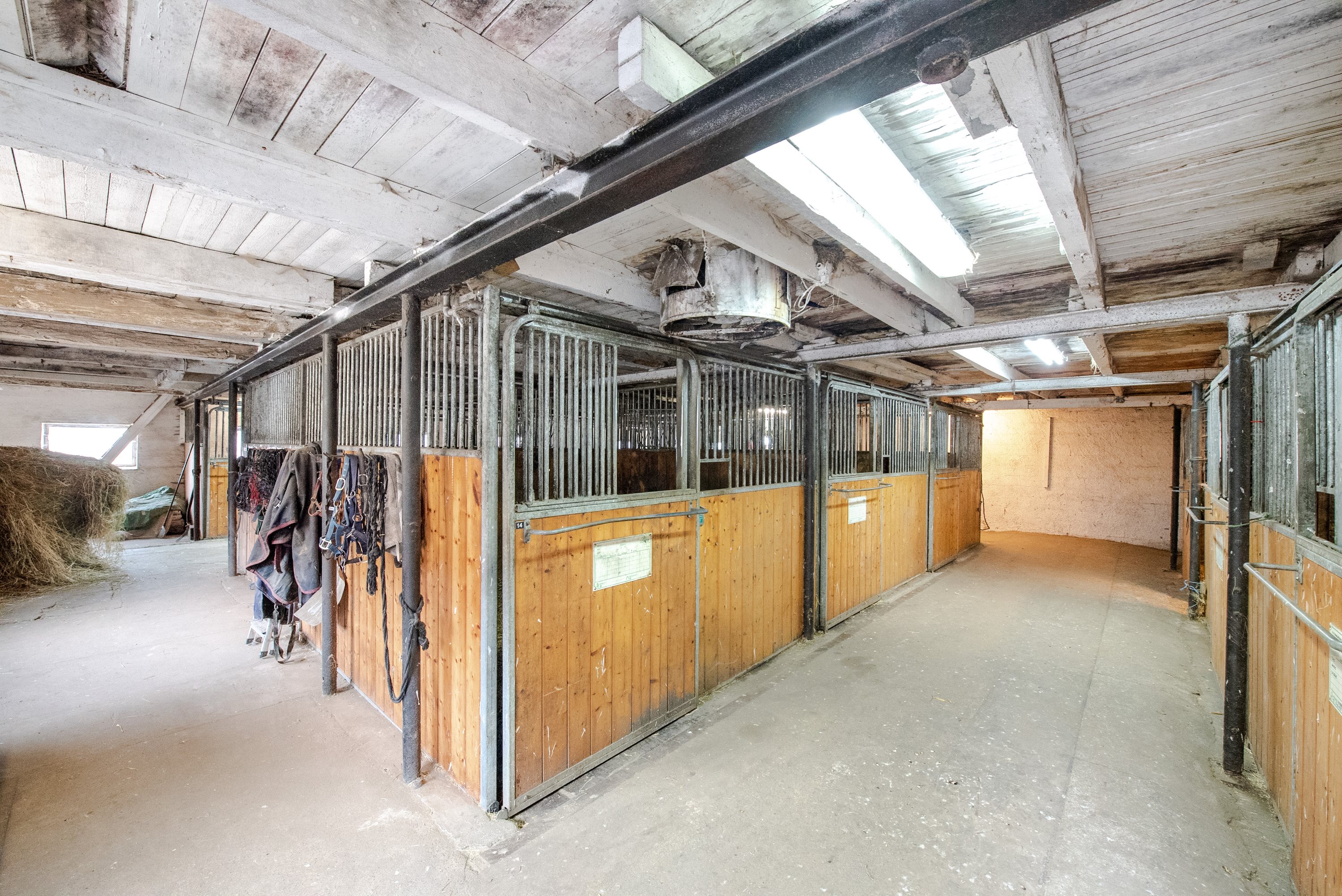 Fremhævet hesteboks billede i fuldskærmstilstand. Billede af Sørupvej 21, 4863 Eskilstrup