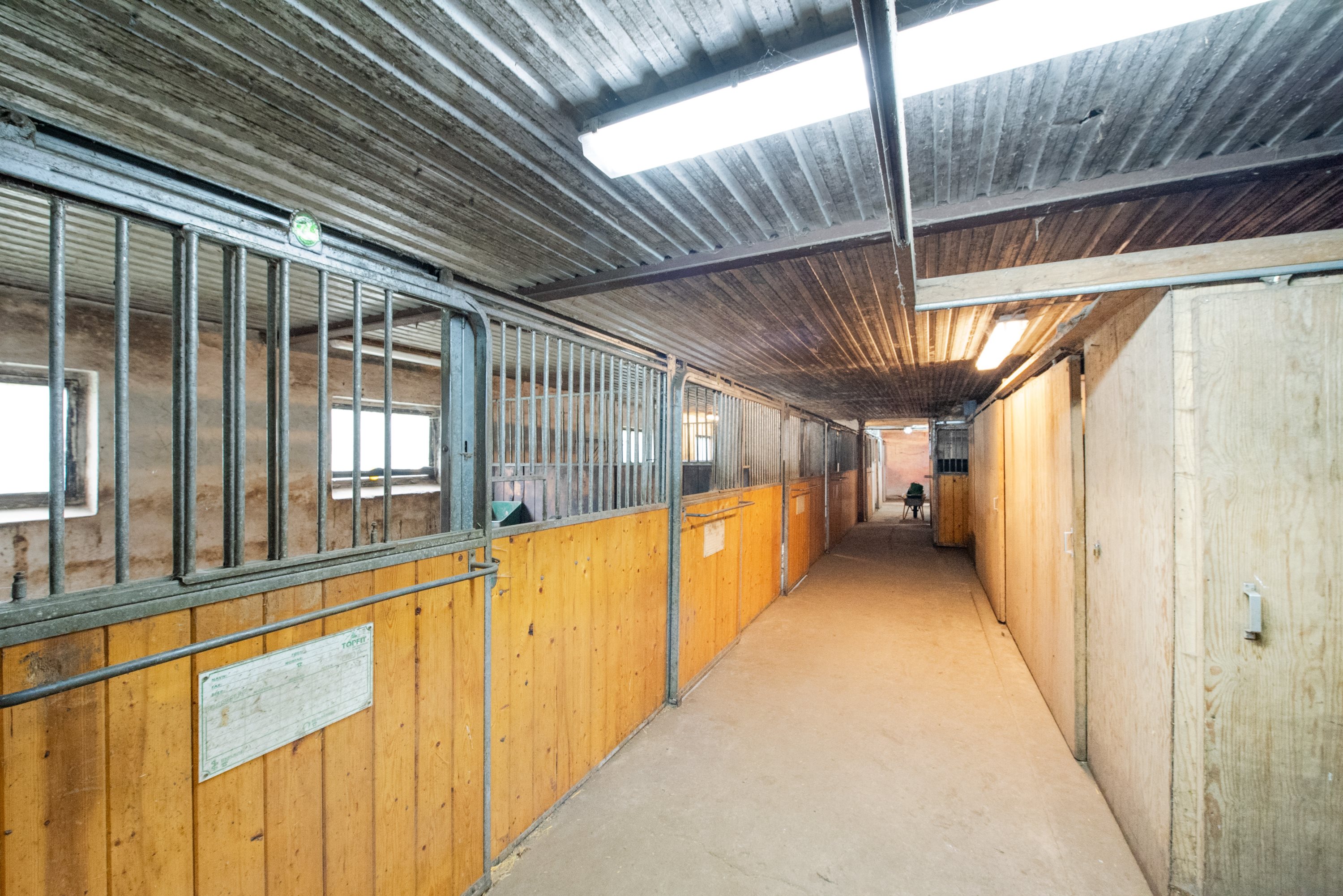 Fremhævet hesteboks billede i fuldskærmstilstand. Billede af Sørupvej 21, 4863 Eskilstrup