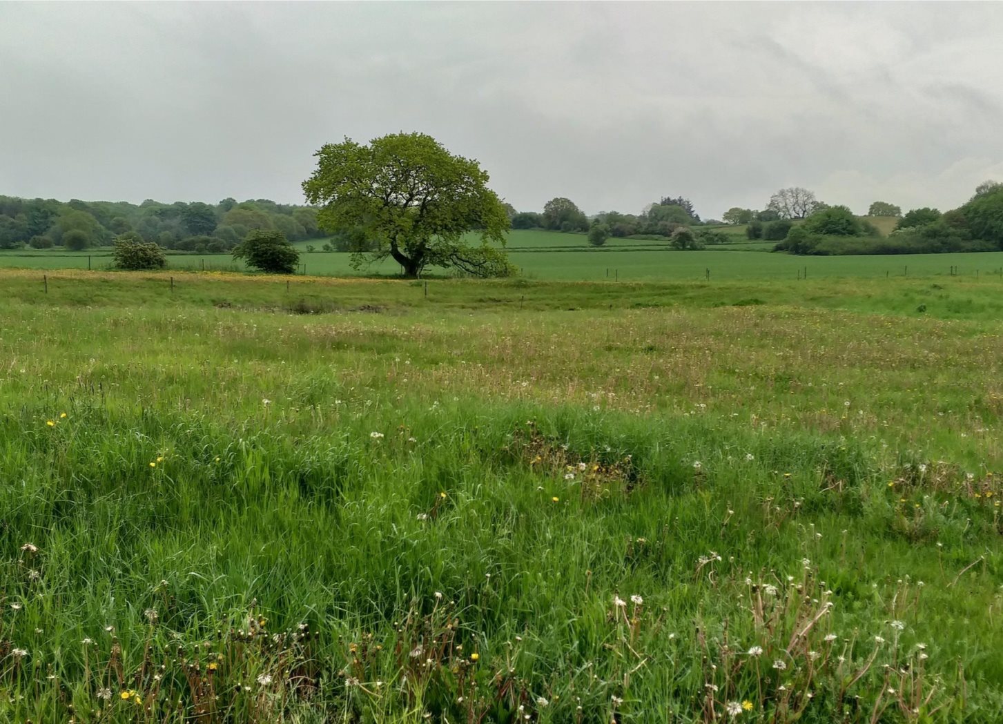 Fremhævet andet billede i fuldskærmstilstand. Billede af Egelund 6, Nim, 8740 Brædstrup