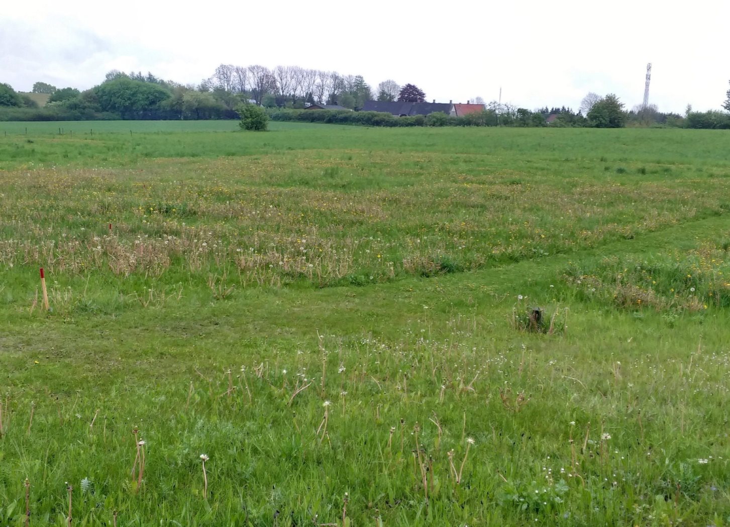 Fremhævet andet billede i fuldskærmstilstand. Billede af Egelund 2, Nim, 8740 Brædstrup