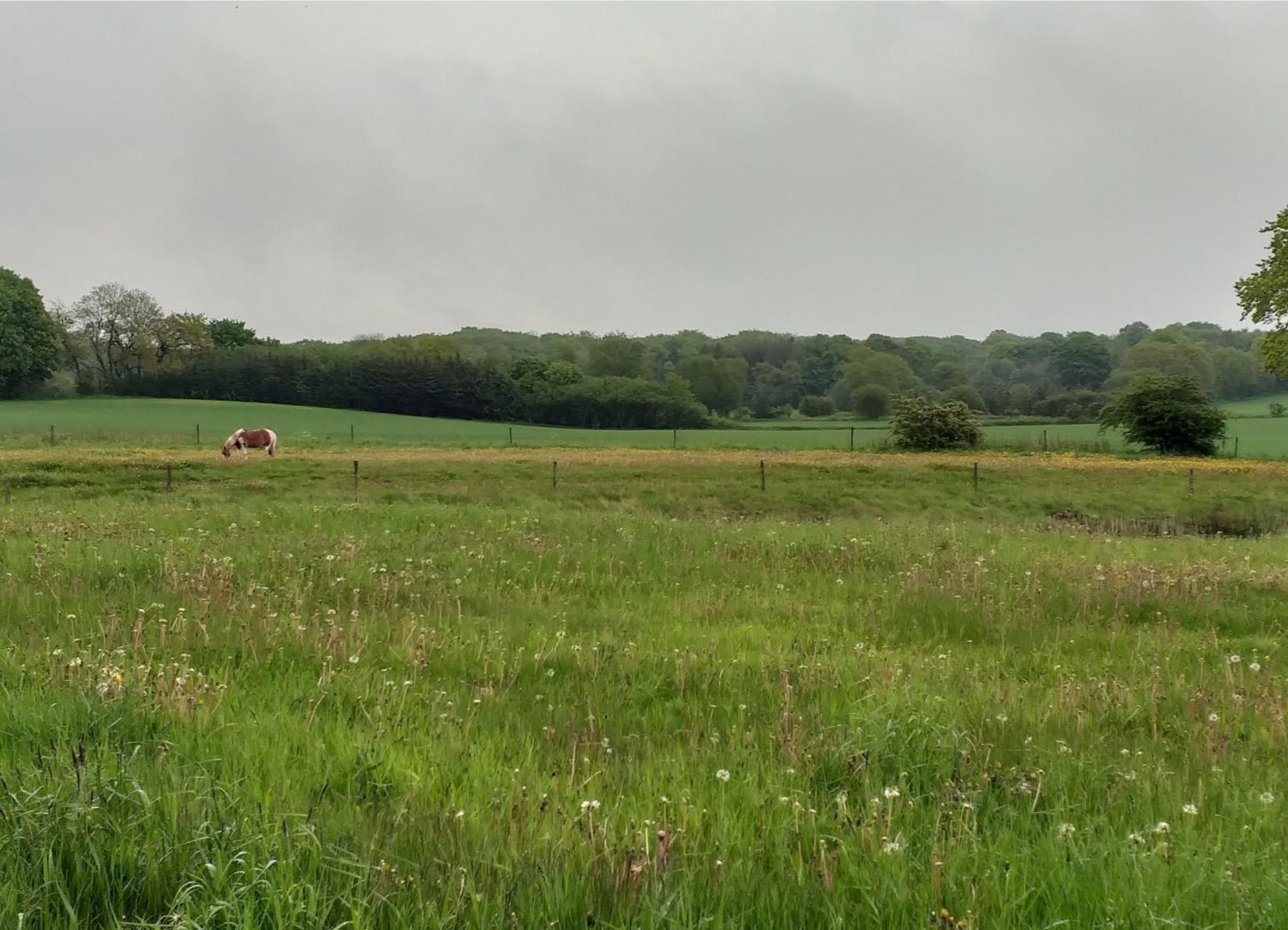 Fremhævet andet billede i fuldskærmstilstand. Billede af Egelund 2, Nim, 8740 Brædstrup