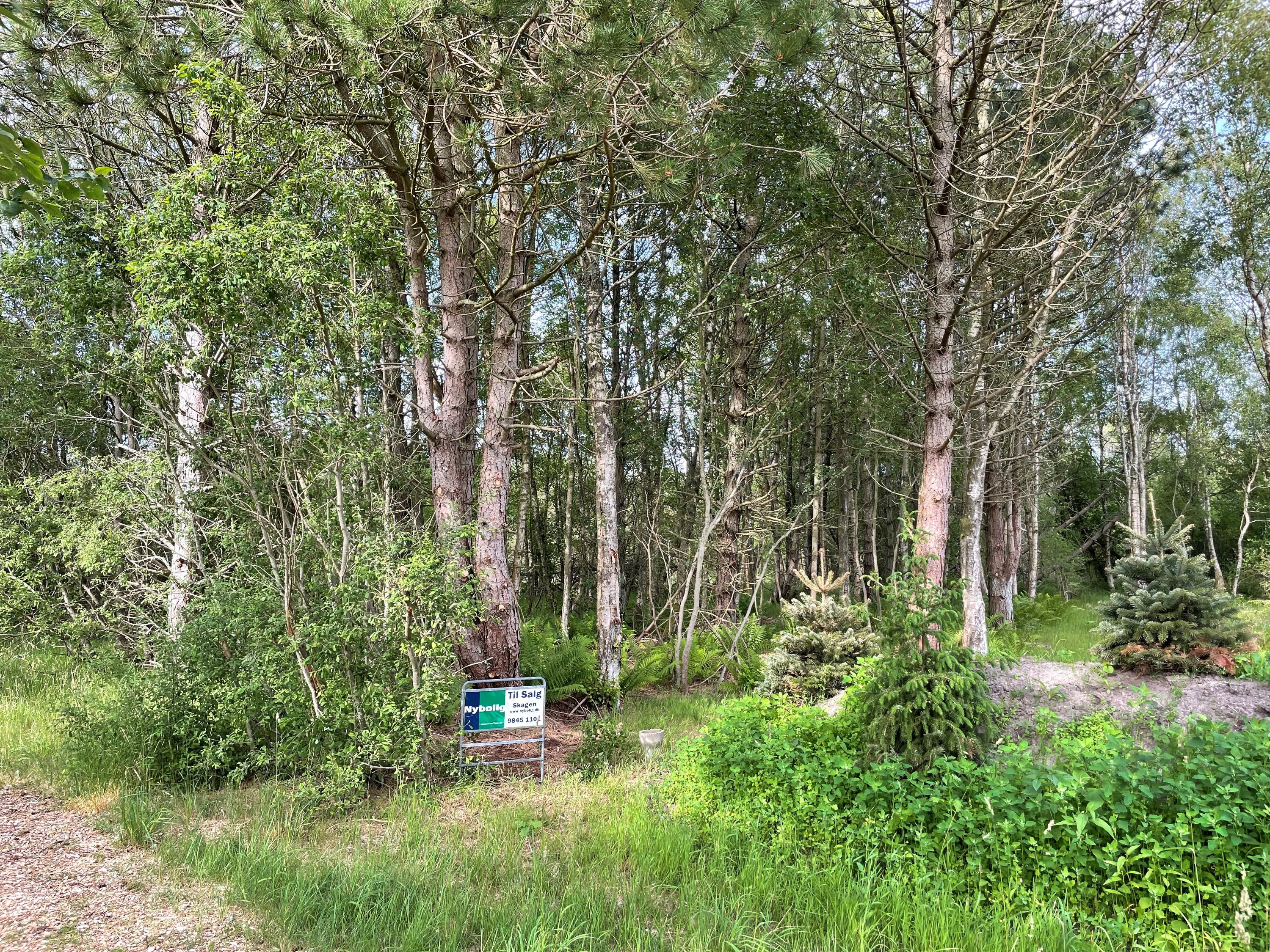 Miniaturebillede 1: grund. Billede af Musvågevej 58, Lodskovvad, 9982 Ålbæk