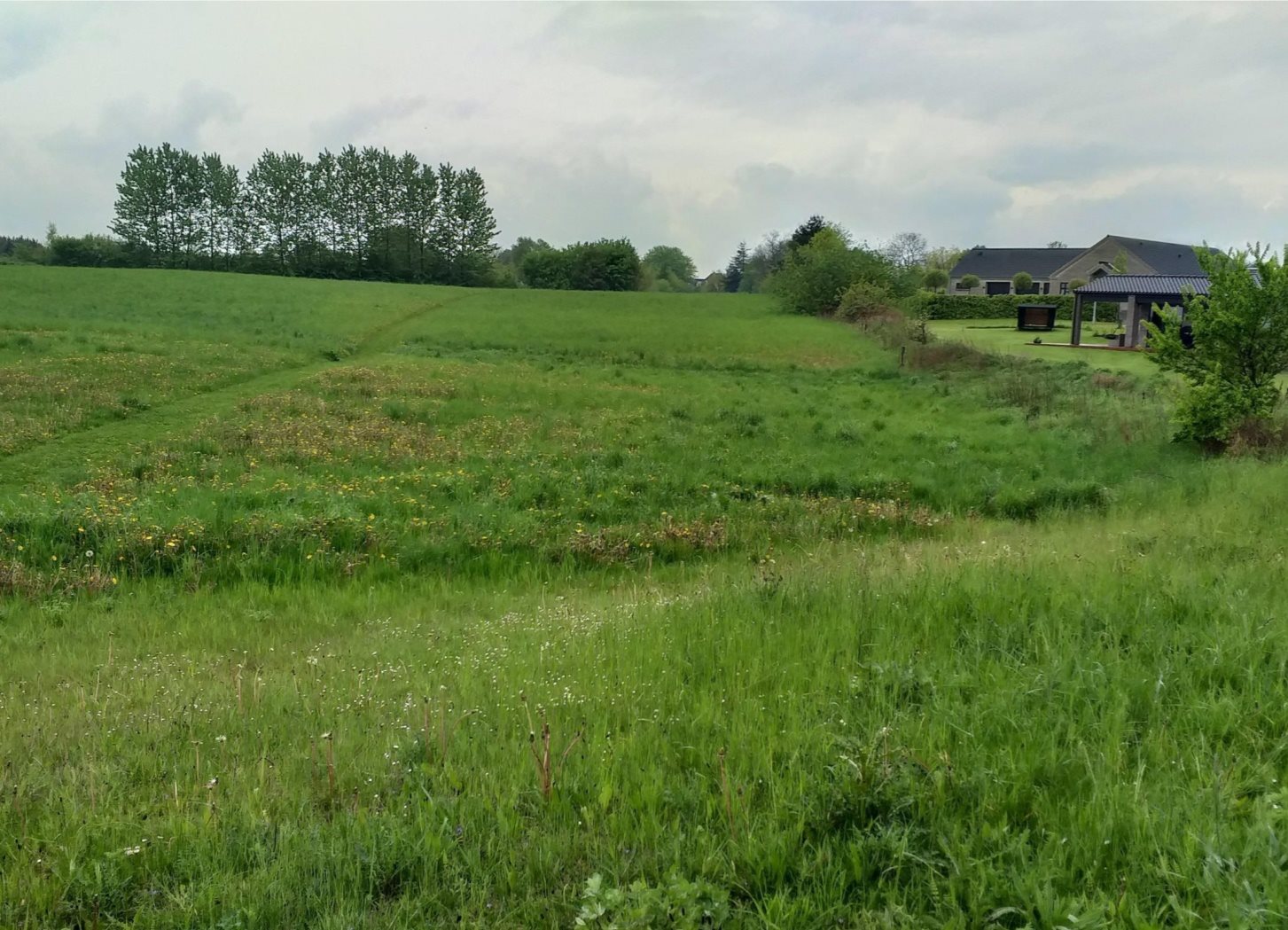 Fremhævet andet billede i fuldskærmstilstand. Billede af Egelund 4, Nim, 8740 Brædstrup